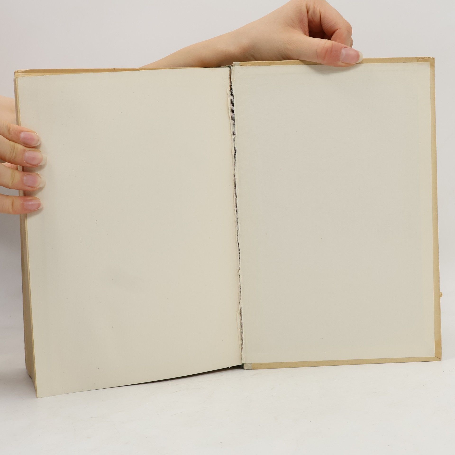 Fritz Taeger Das Altertum : Geschichte und Gestalt Bd. 1