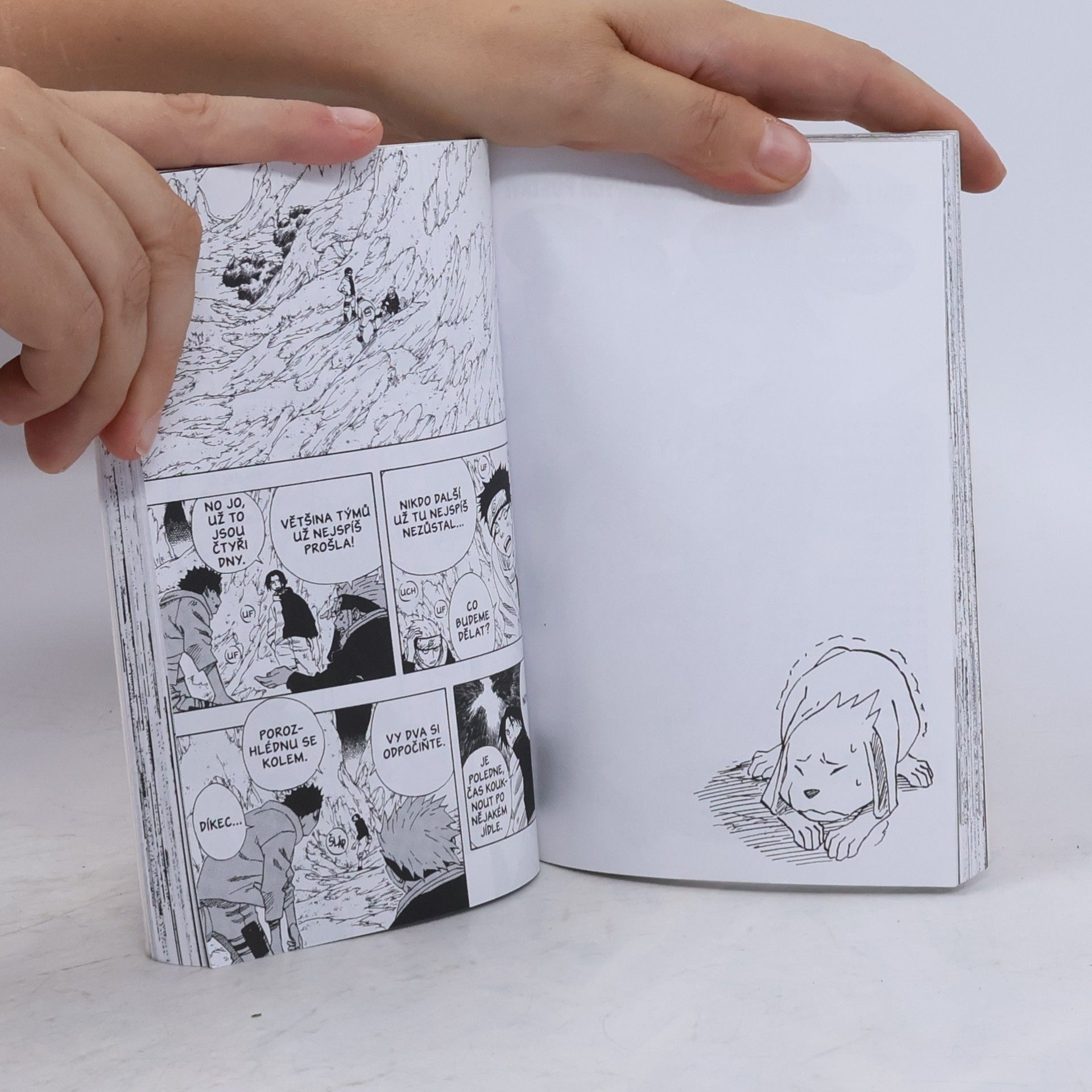 Masashi Kishimoto Naruto. 7. díl, Správná cesta