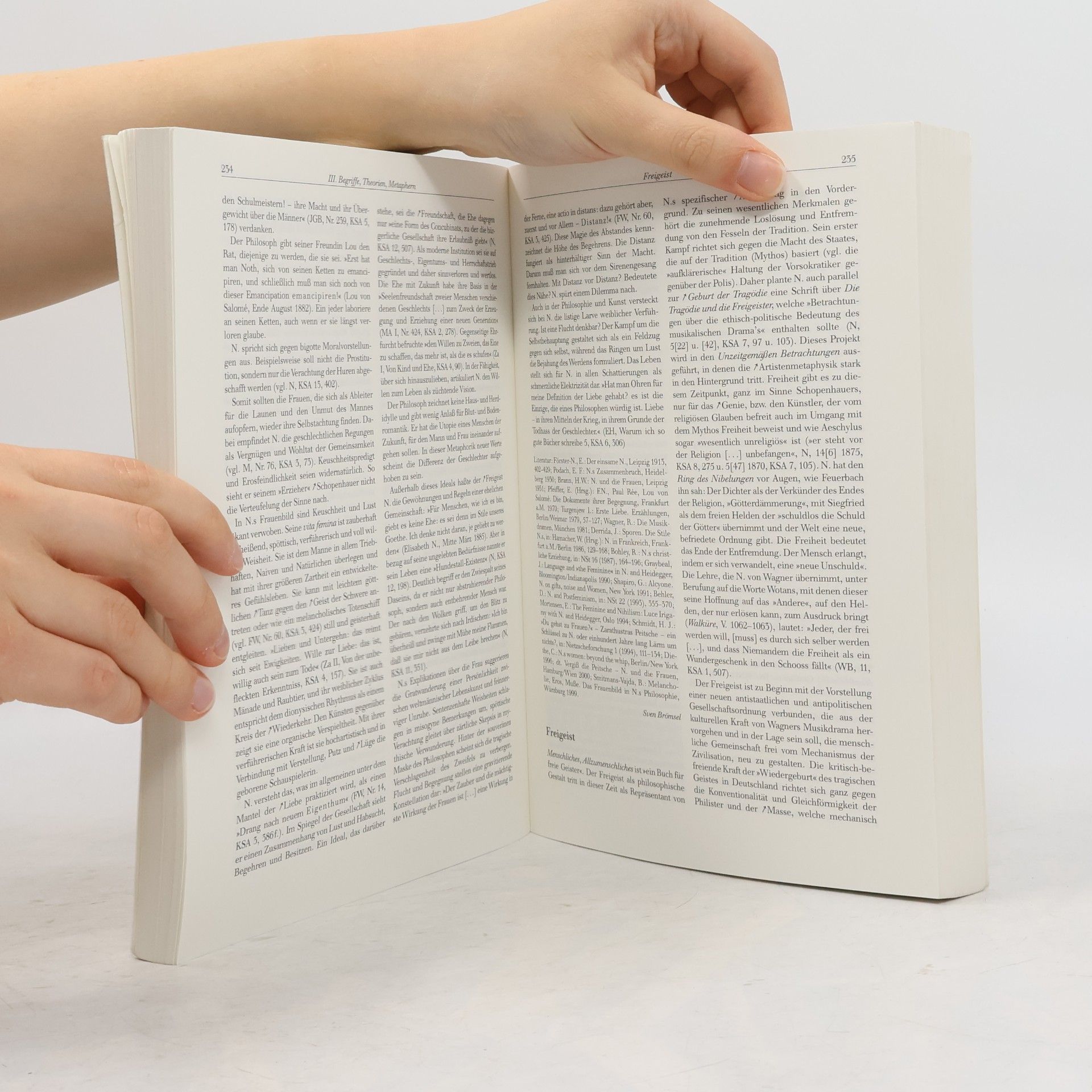 Henning Ottmann Nietzsche-Handbuch