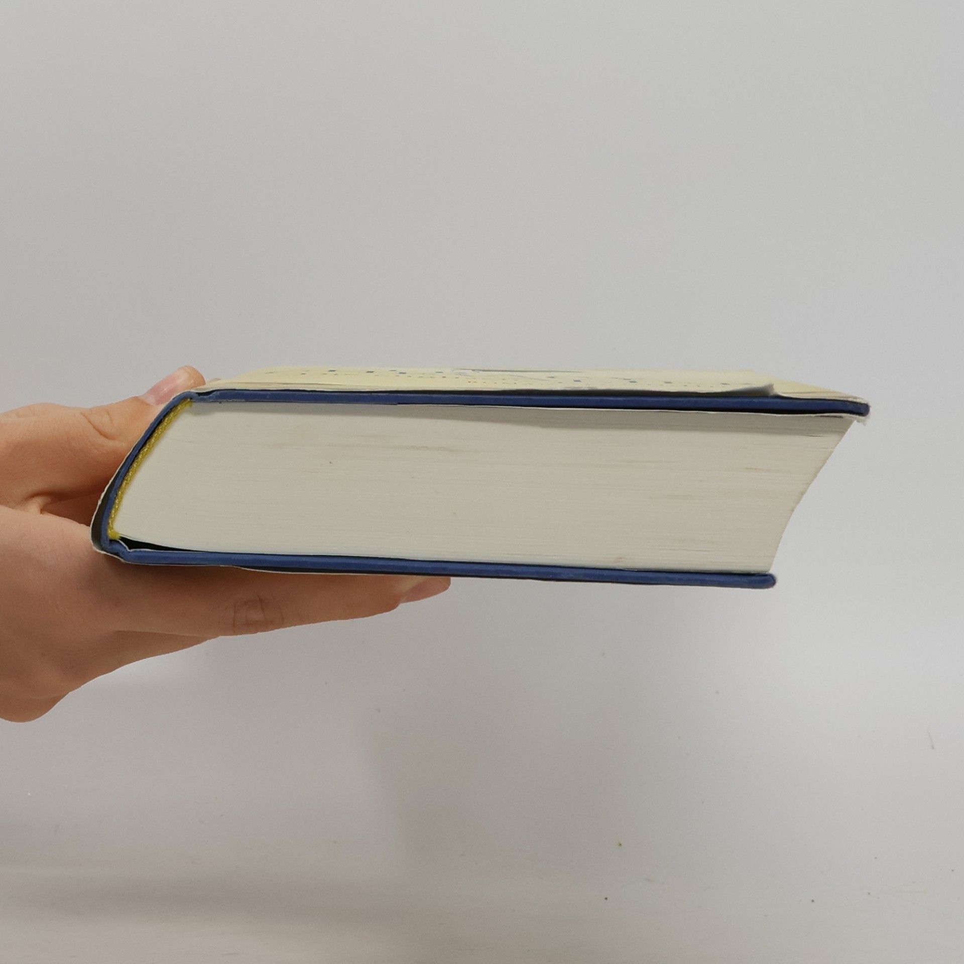 Tracy Chevalier Die englische Freundin