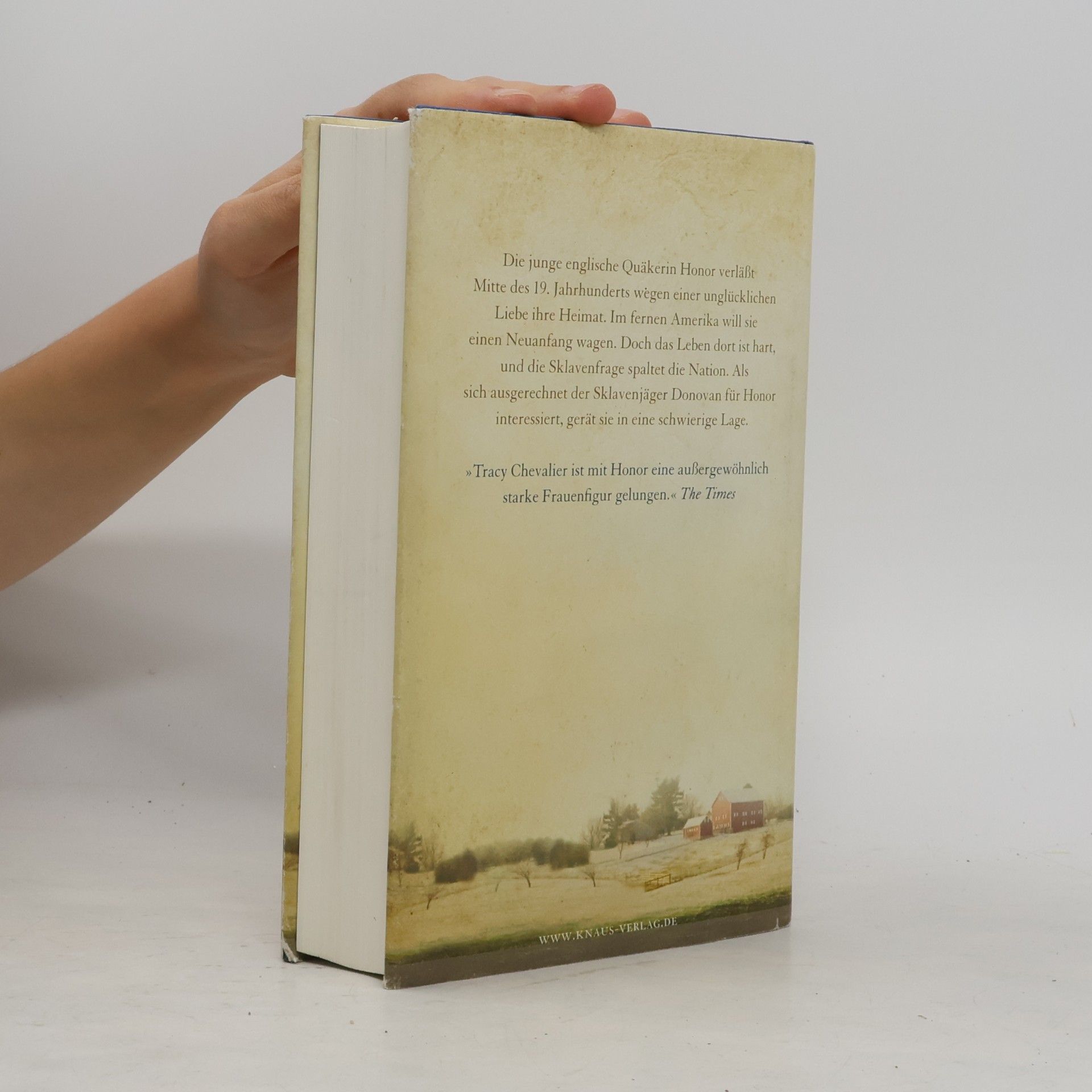 Tracy Chevalier Die englische Freundin