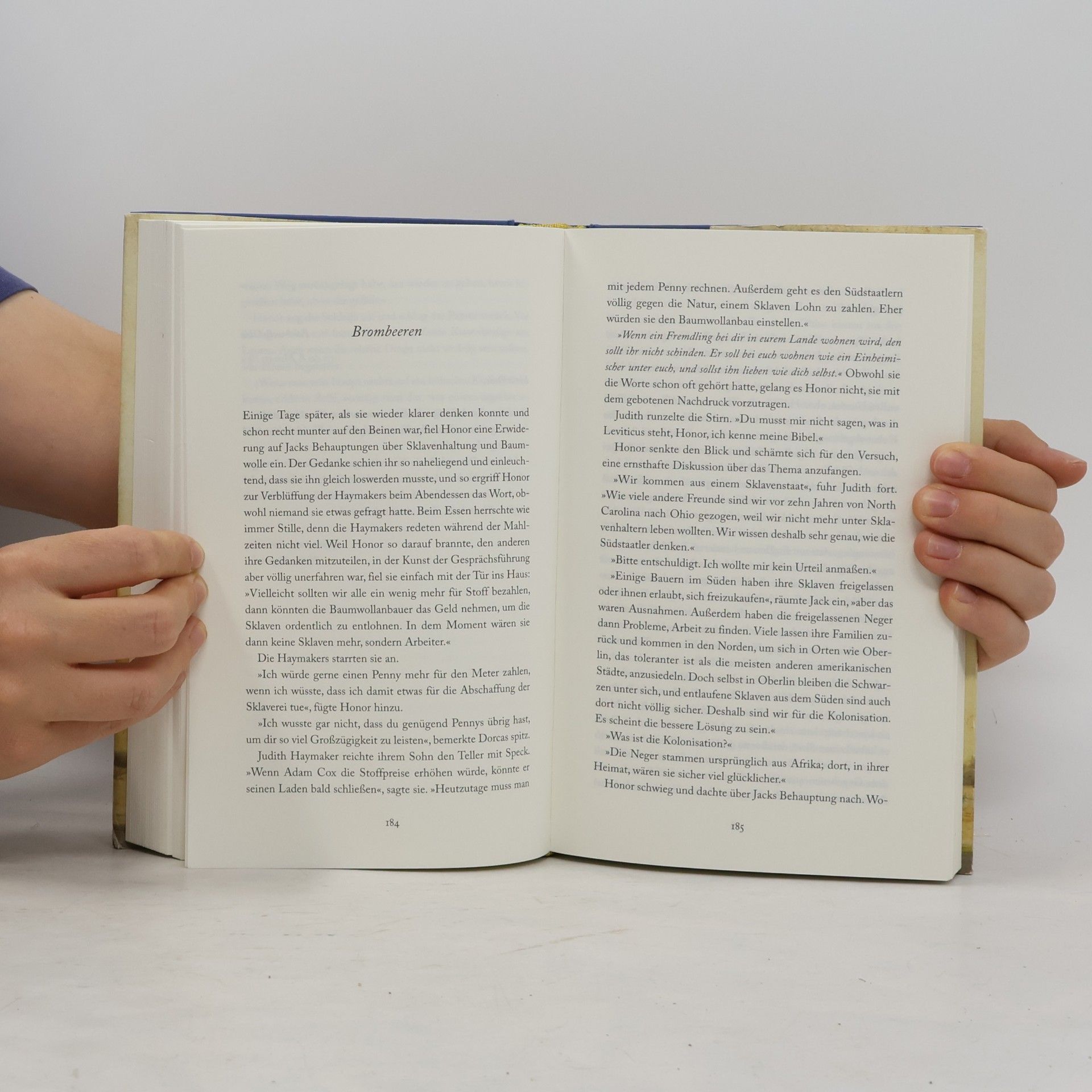 Tracy Chevalier Die englische Freundin