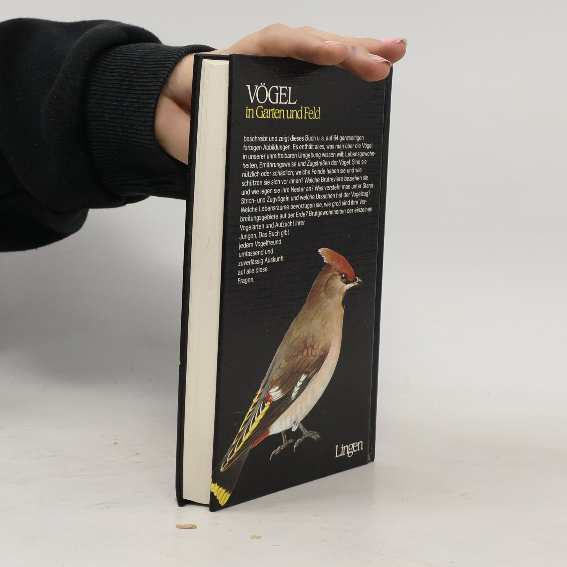 Autorenkollektiv Vögel in Garten und Feld