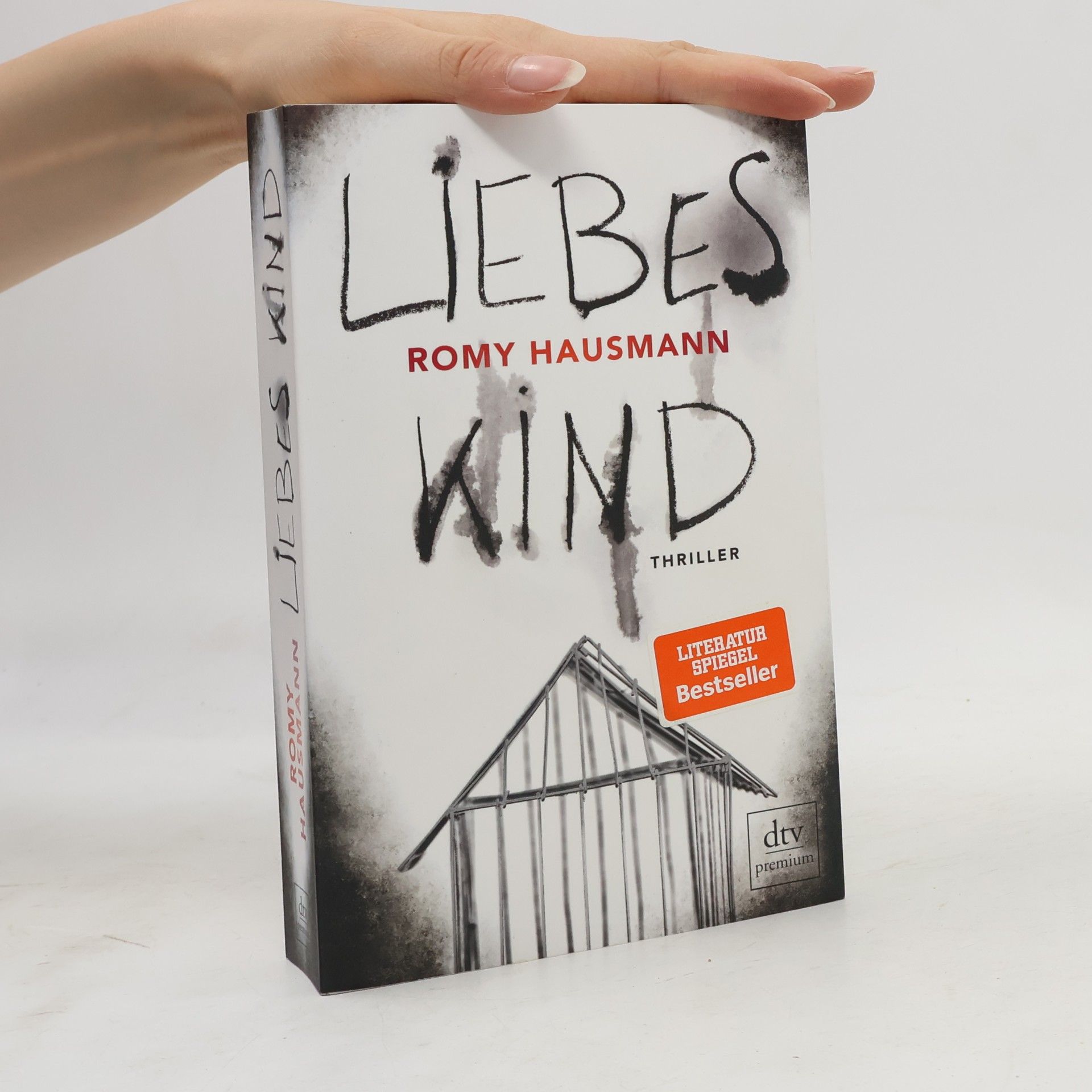 Romy Hausmann Liebes Kind