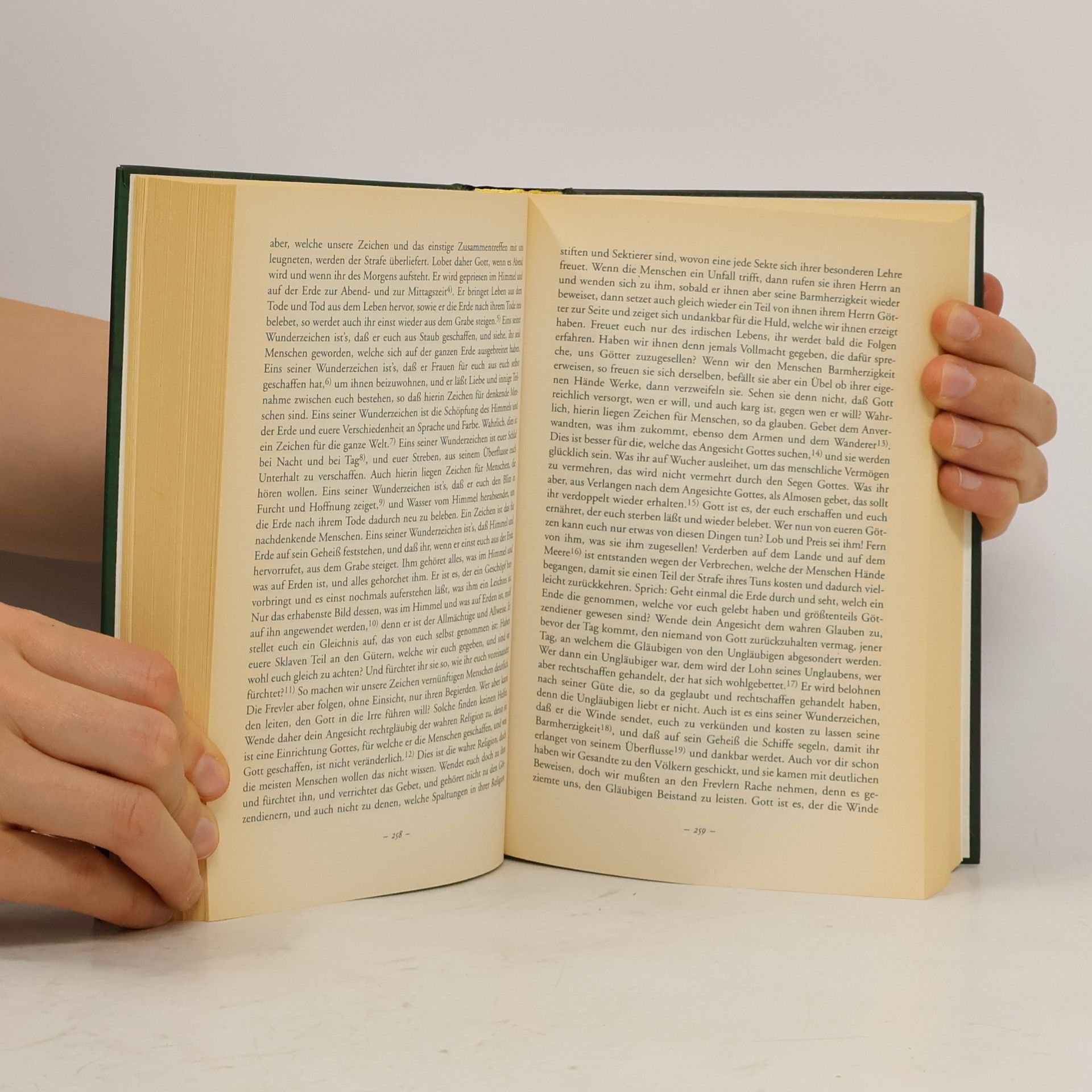 L. Assmann Der Koran