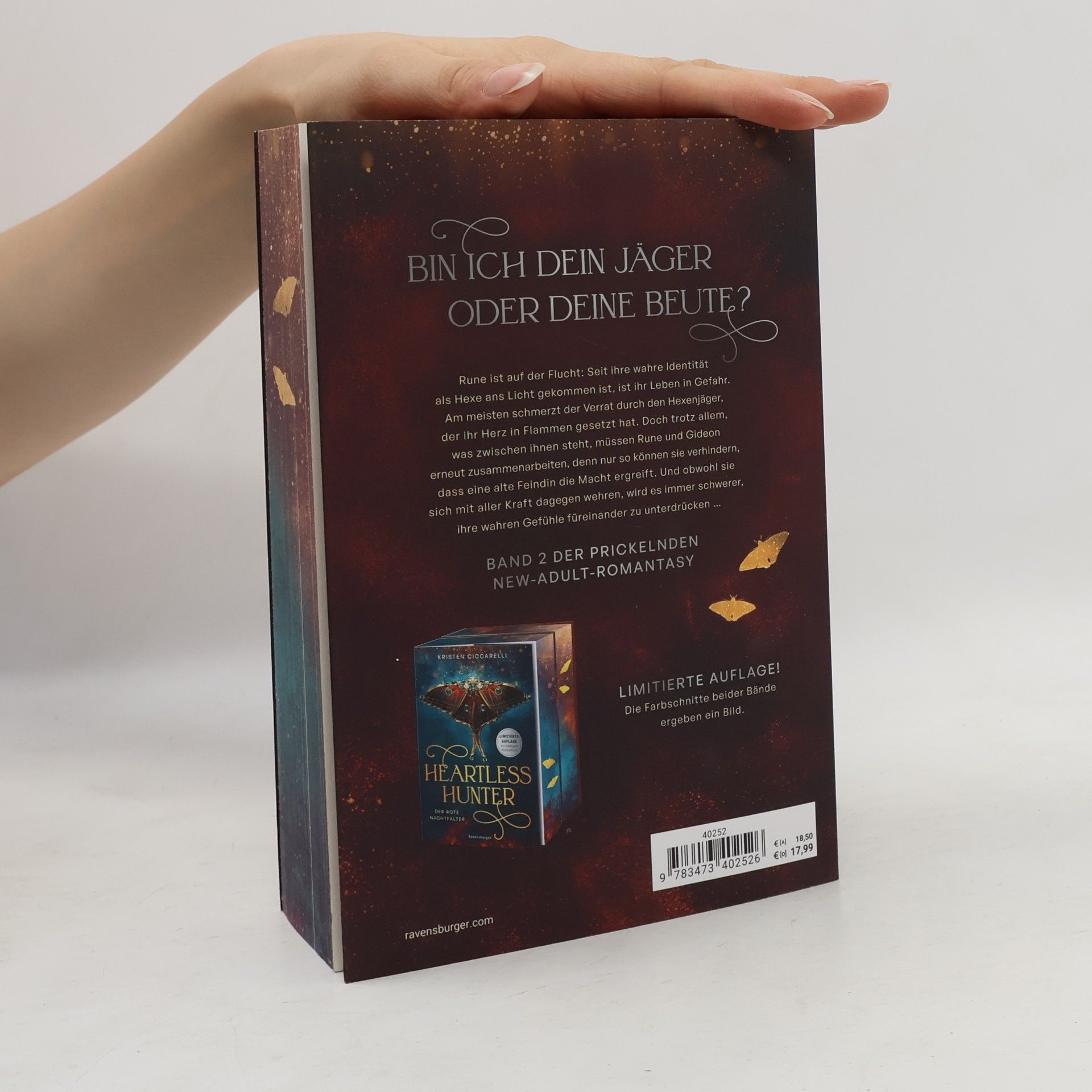 Kristen Ciccarelli Der rote Nachtfalter - 2: Rebel Witch