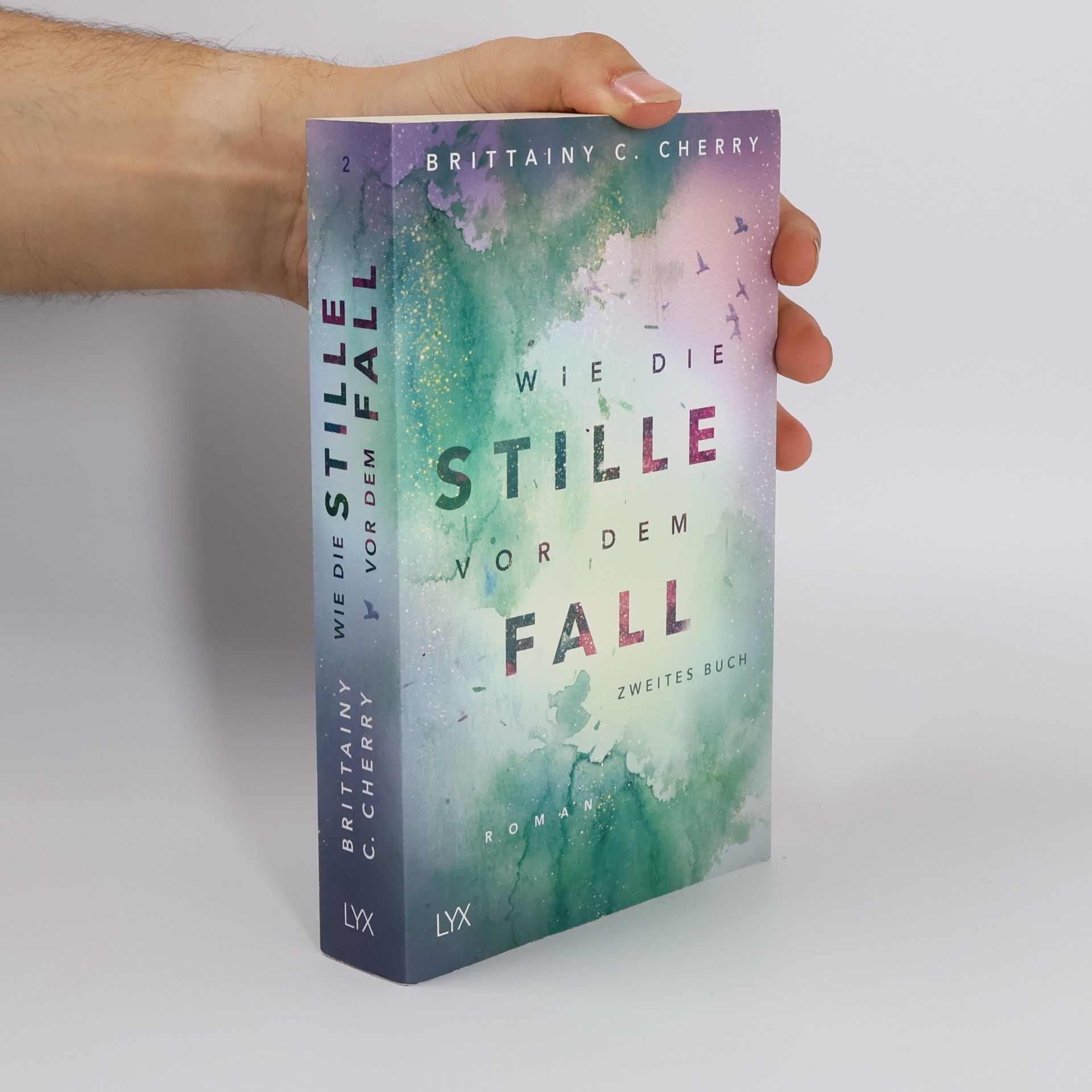 Brittainy C. Cherry Wie die Stille vor dem Fall 2
