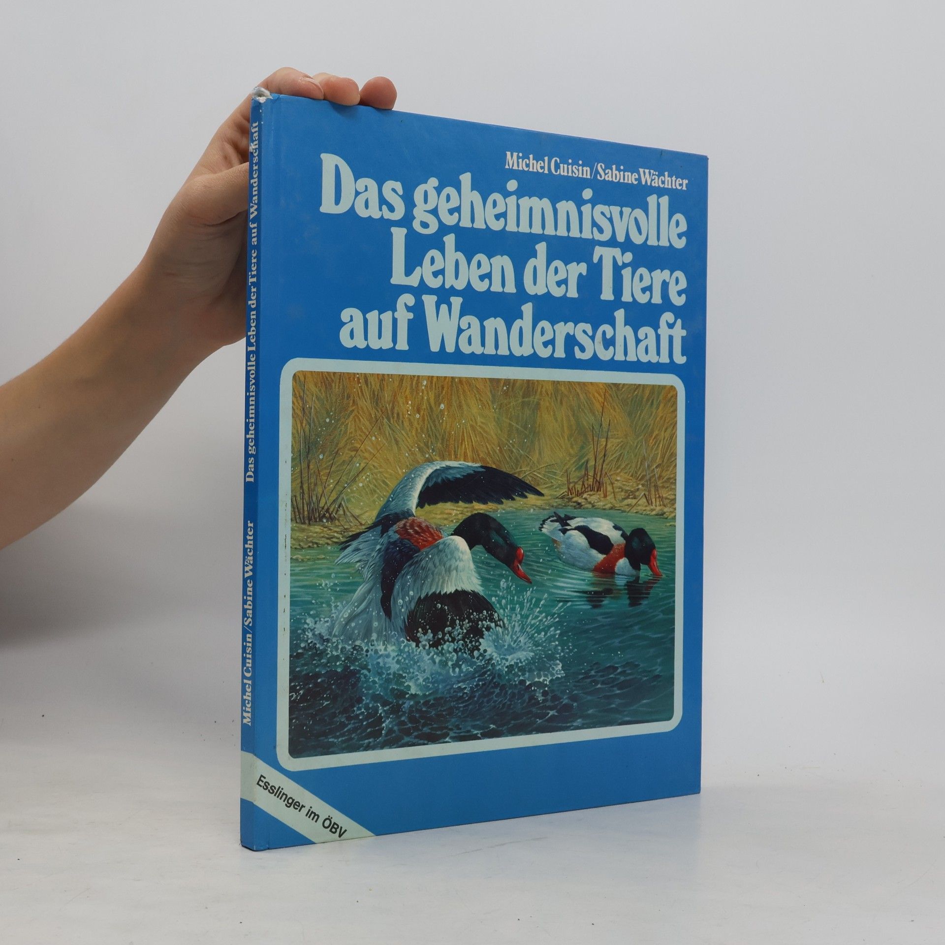 Sabine Wächter Das geheimnisvolle Leben der Tiere auf Wanderschaft