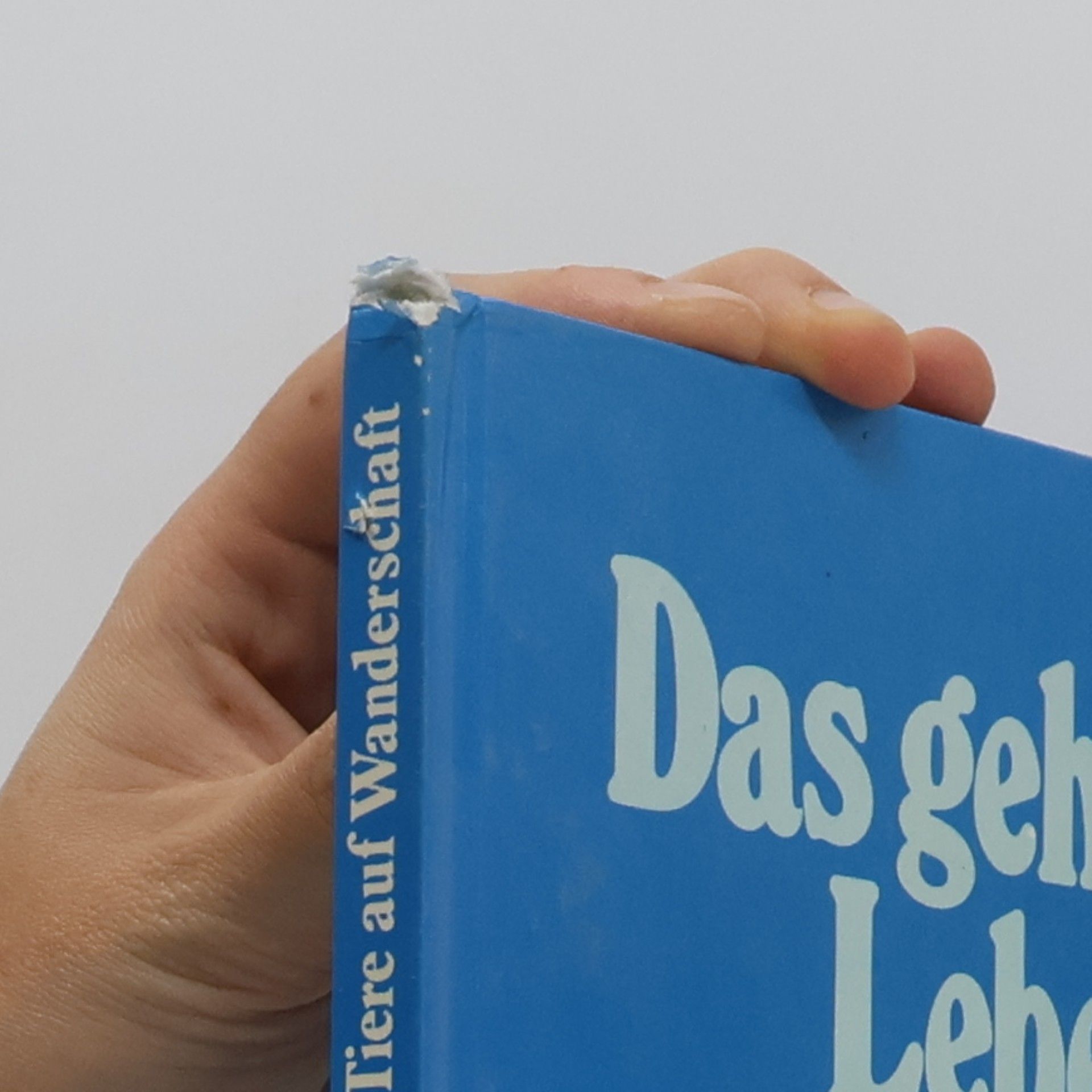 Michel Cuisin Das geheimnisvolle Leben der Tiere auf Wanderschaft