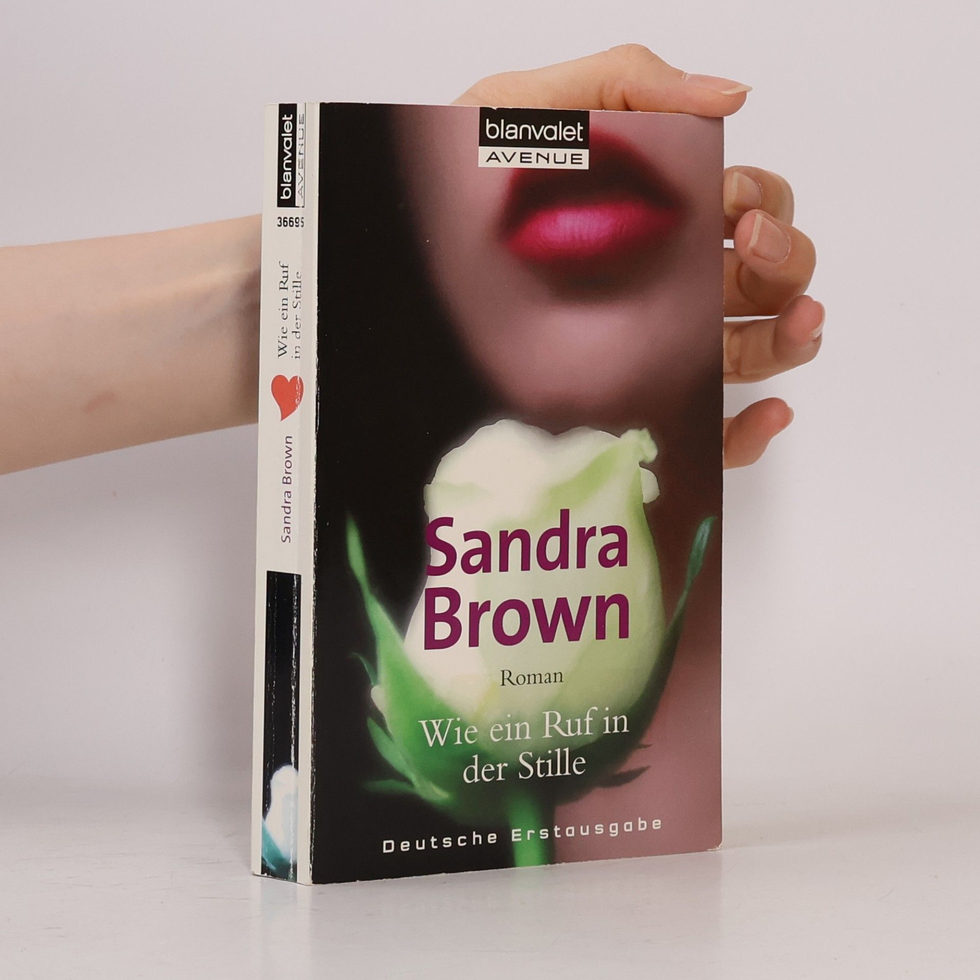 Sandra Brown Wie ein Ruf in der Stille