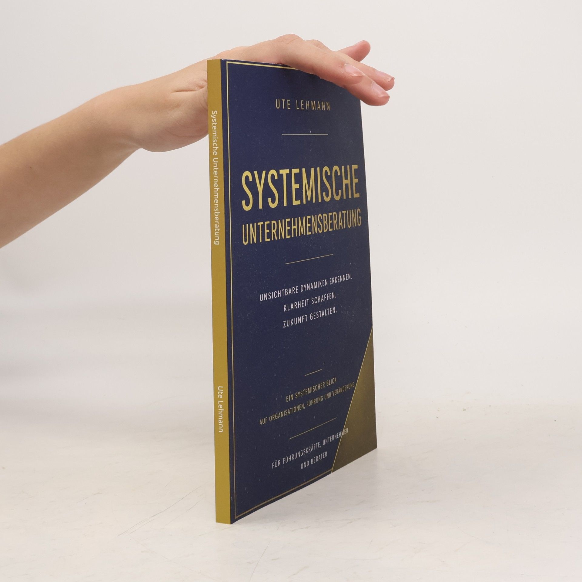 Systemische Unternehmensberatung: Ordnung erkennen. Verantwortung übernehmen. Zukunft gestalten.