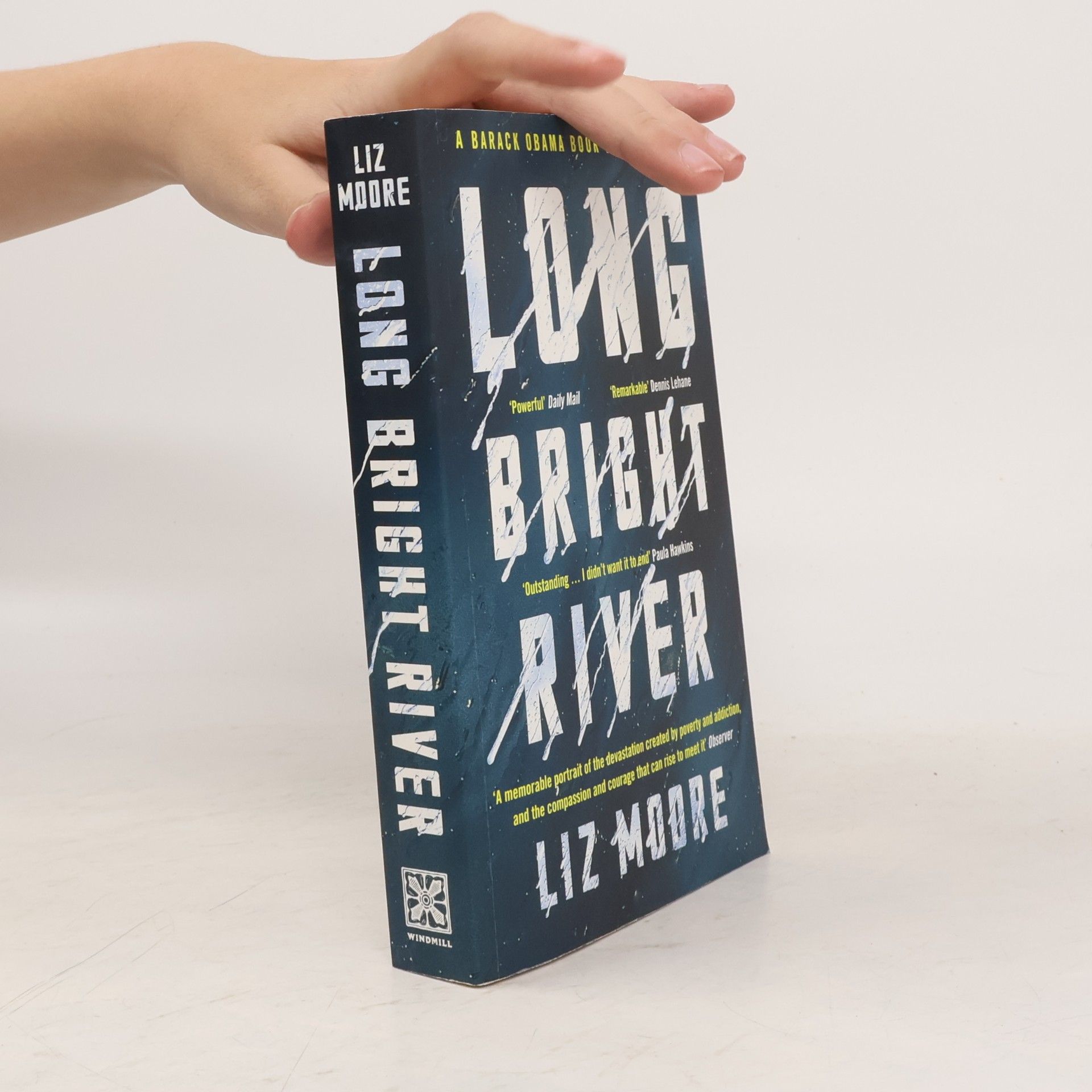 Liz Moore Long Bright River