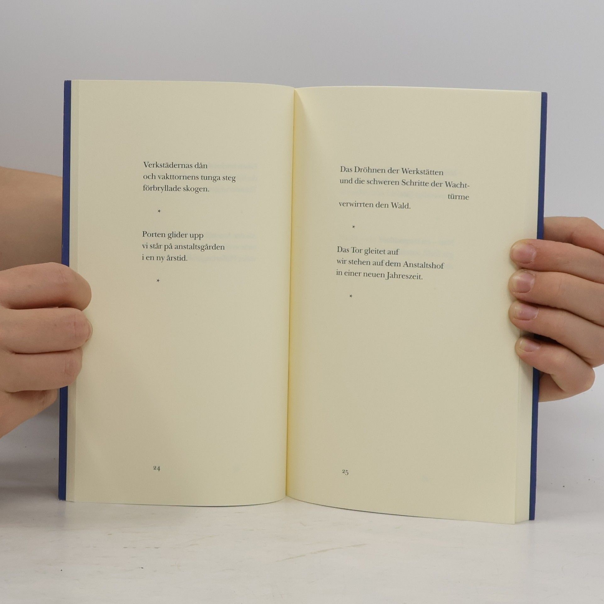 Tomas Tranströmer Das große Rätsel
