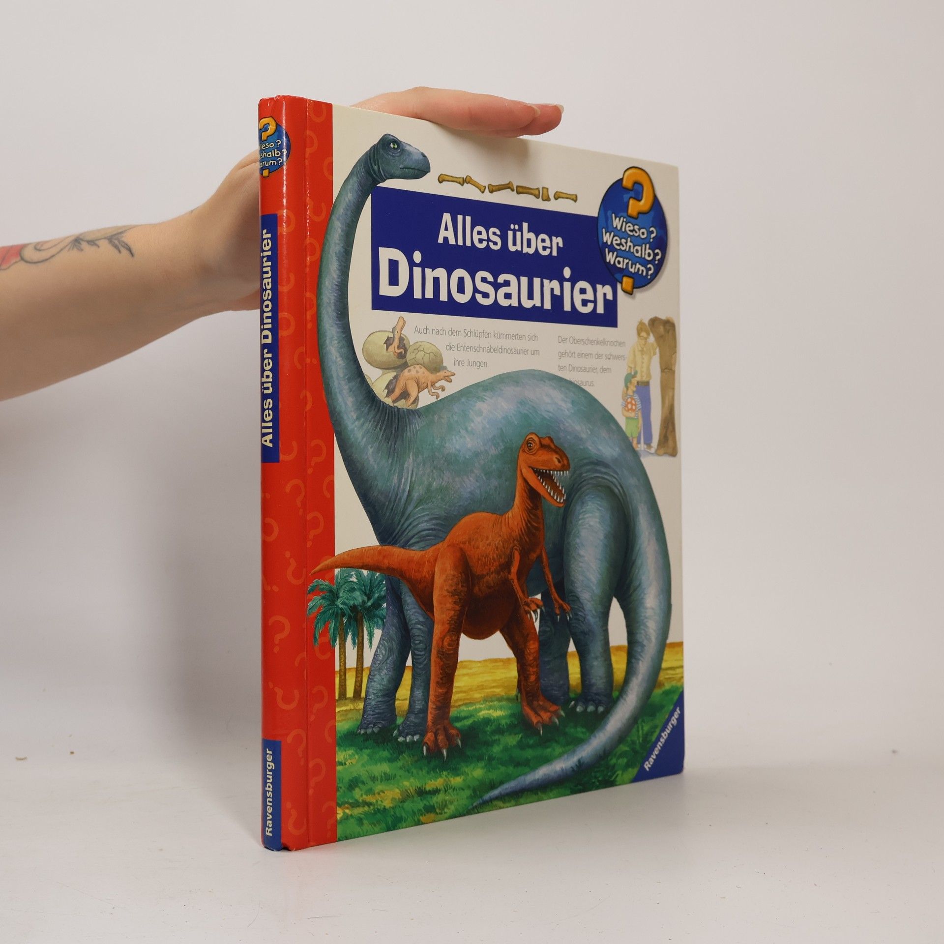 Patricia Mennen Alles über Dinosaurier