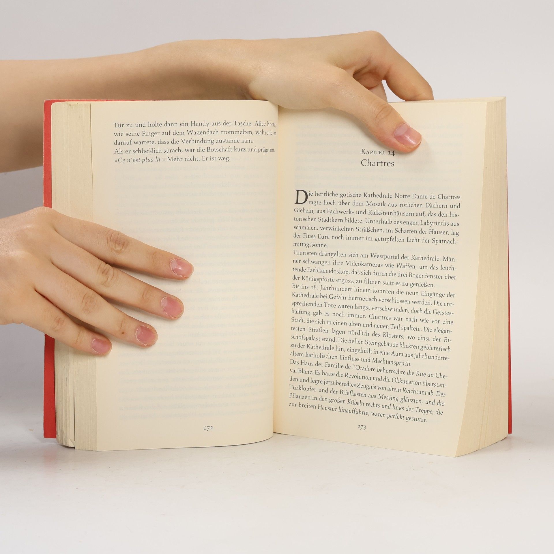 Kate Mosse Das verlorene Labyrinth
