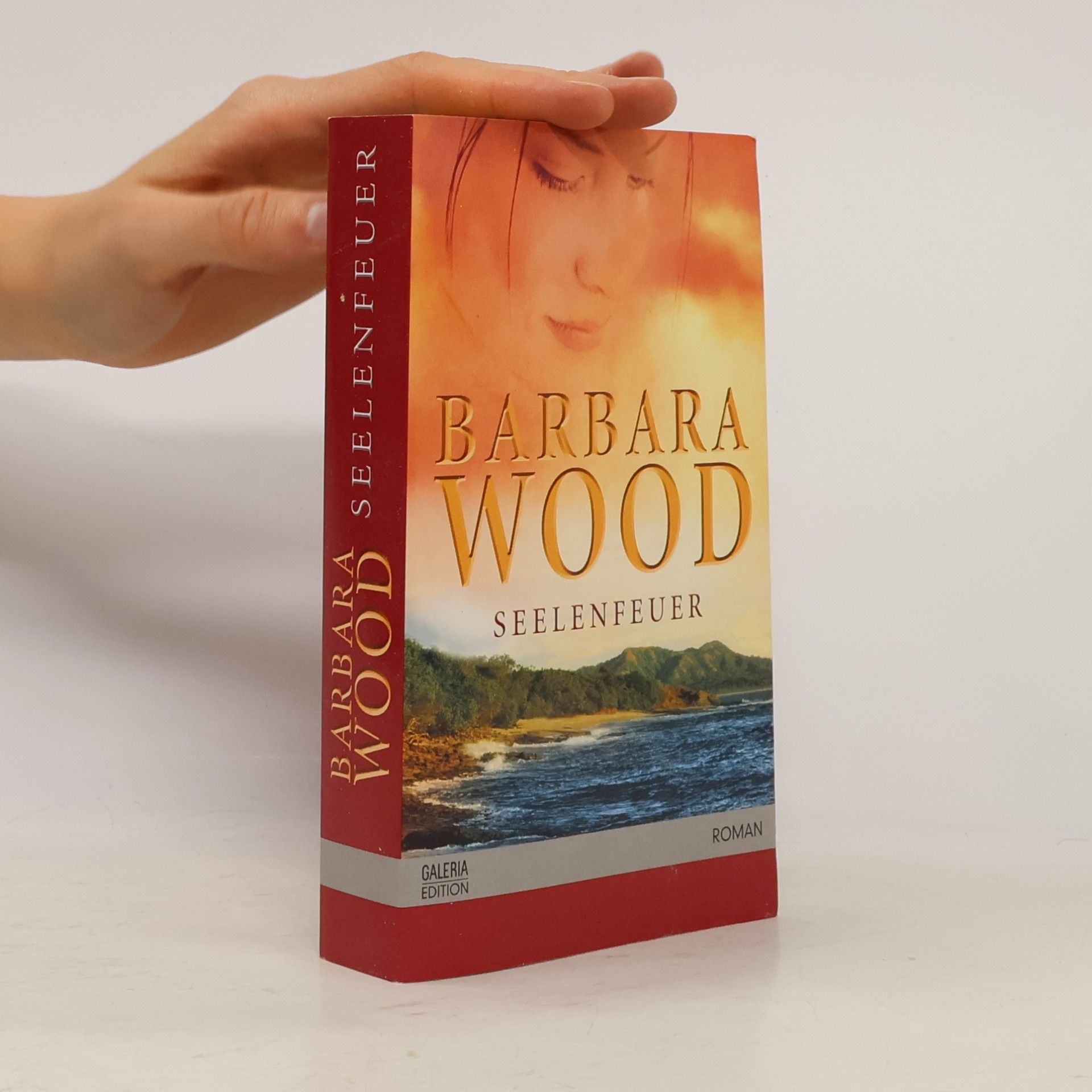 Barbara Wood Seelenfeuer