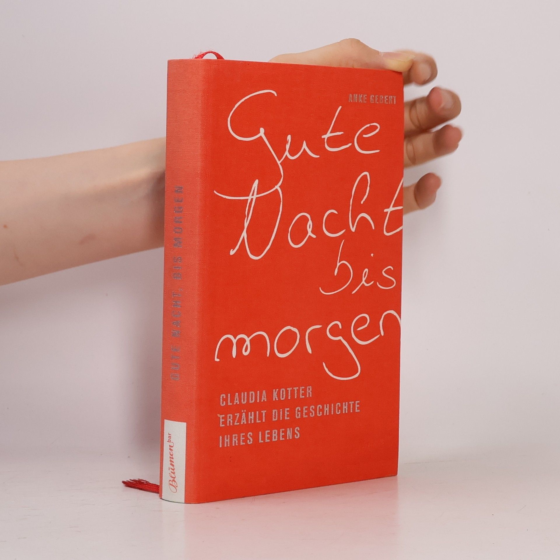 Anke Gebert Gute Nacht, bis morgen