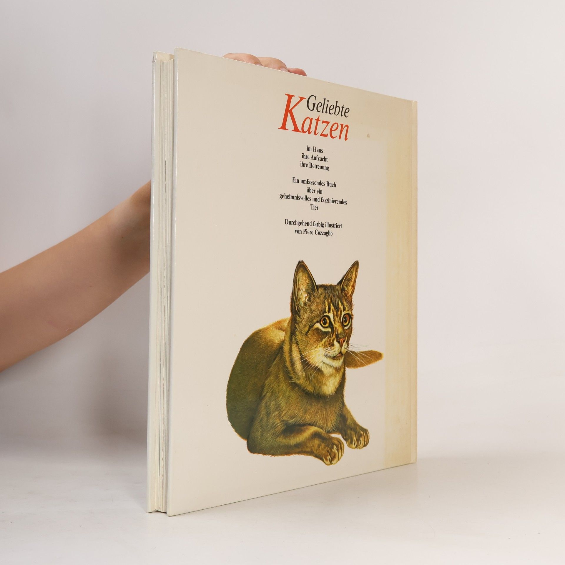 Eugenia Natoli Geliebte Katzen