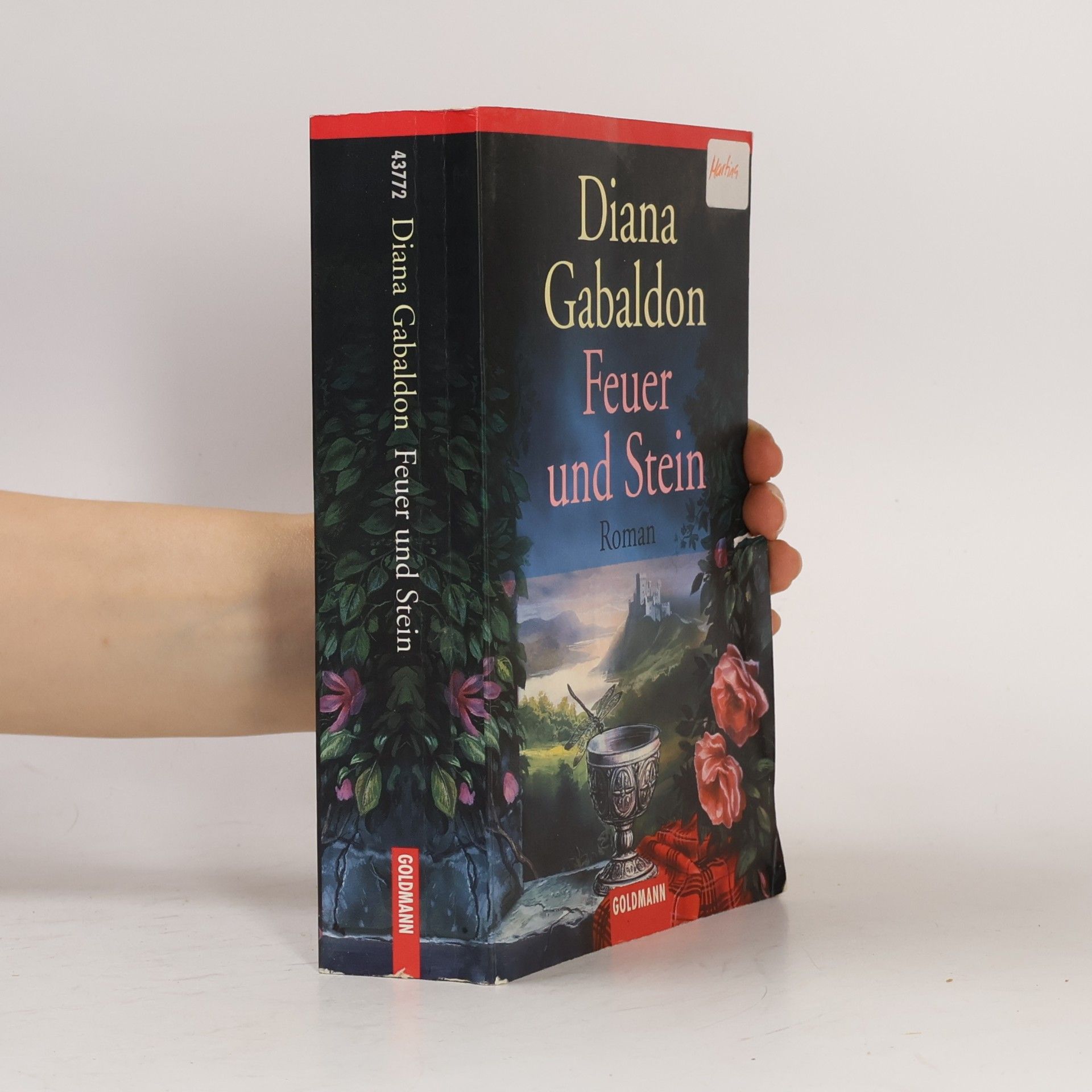 Diana Gabaldon Feuer und Stein