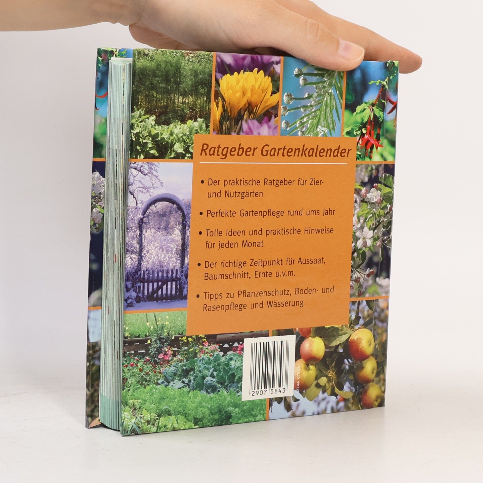 Ratgeber Gartenkalender