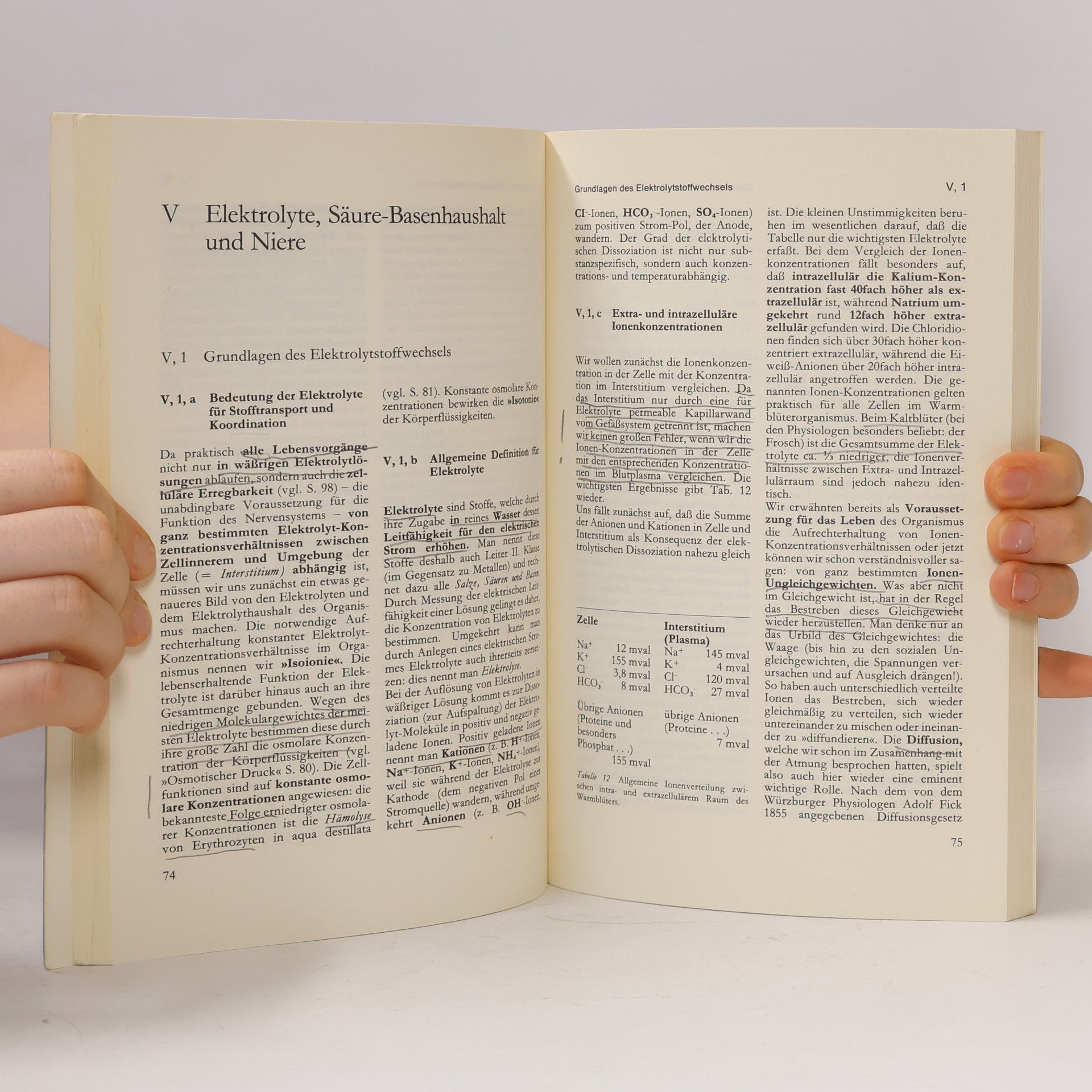 Michael Steinhausen Physiologie