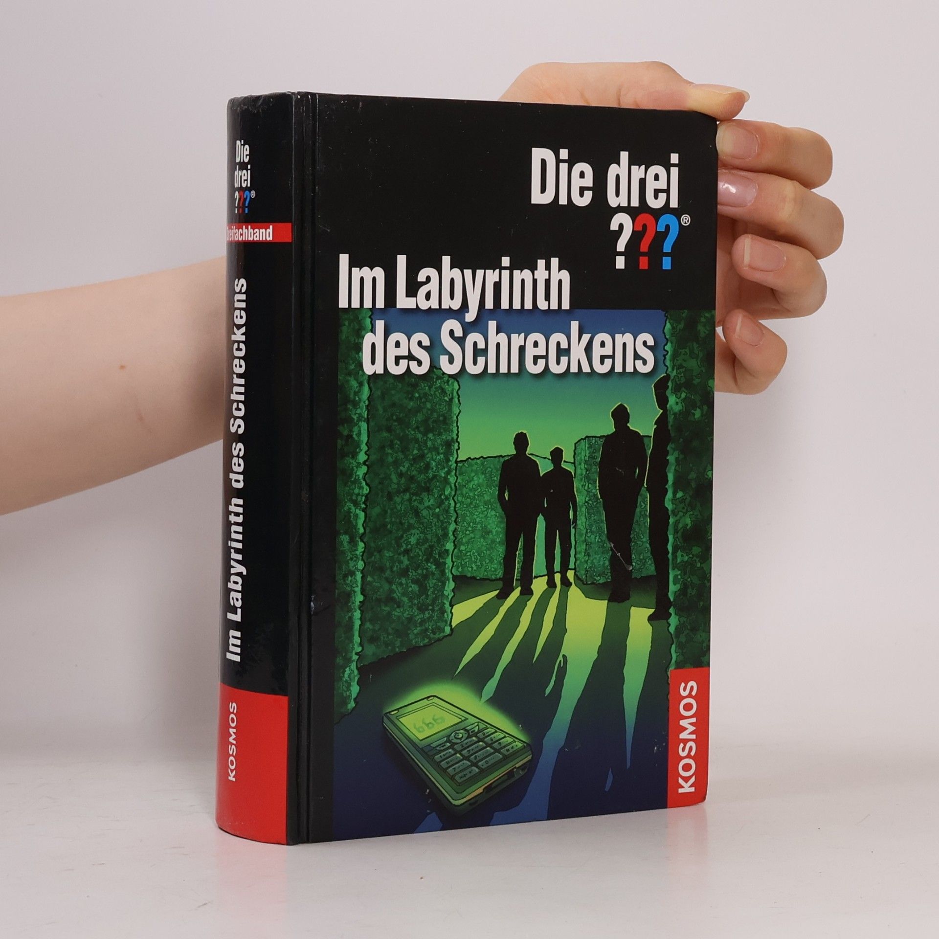 Johanna Henkel-Waidhofer Die drei ??? - im Labyrinth des Schreckens