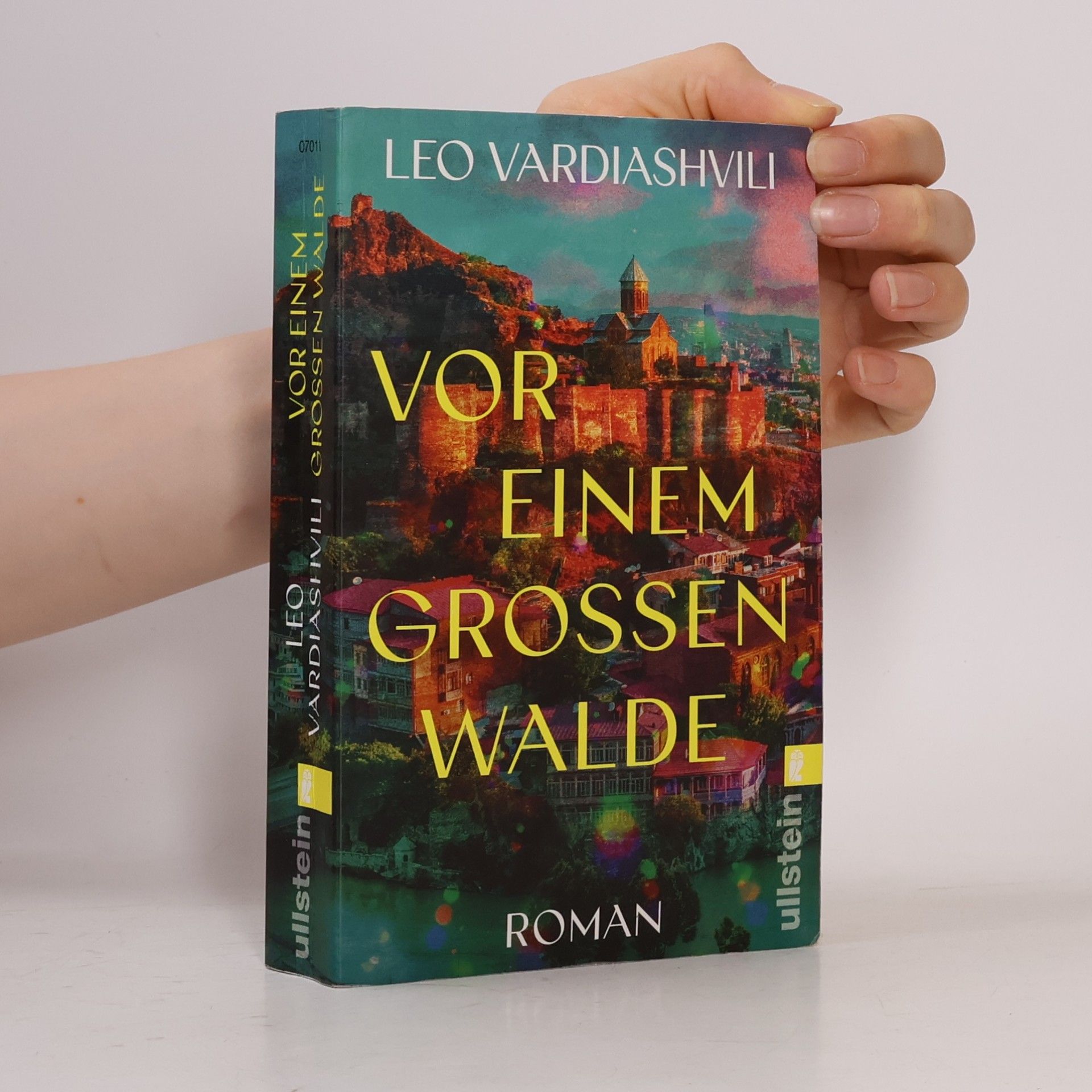 Leo Vardiashvili Vor einem großen Walde