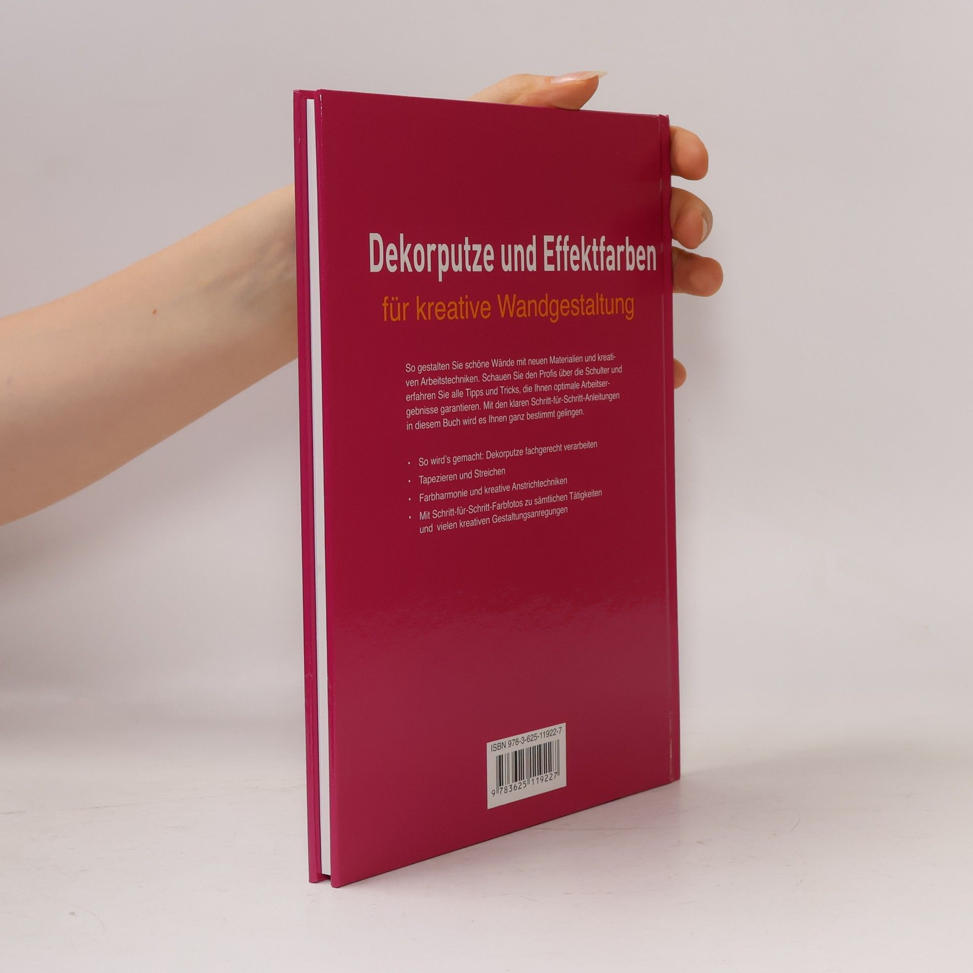 Kolektiv autorů Dekorputze und Effektfarben