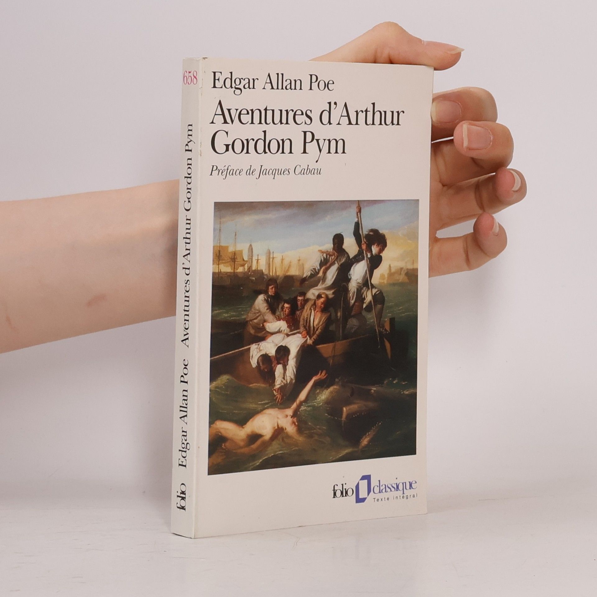Edgar Allan Poe Aventures d'Arthur Gordon Pym
