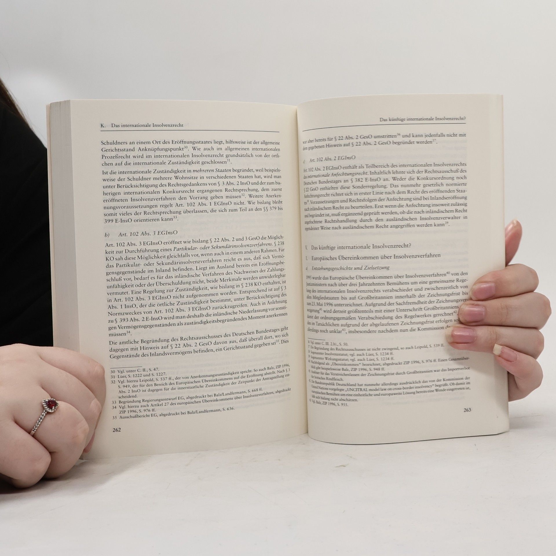 Braun Die Neuregelungen der Insolvenzordnung in der Praxis