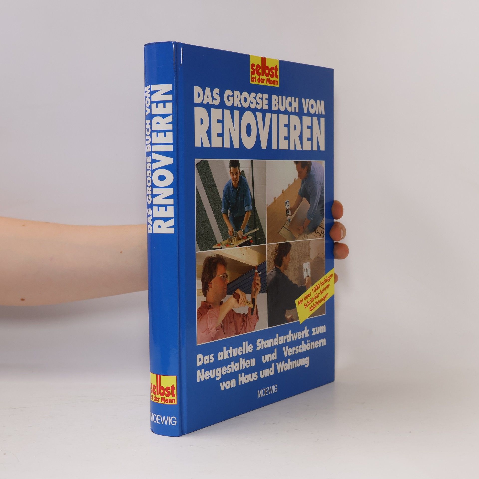 Hans Altmeyer Das grosse Buch vom Renovieren