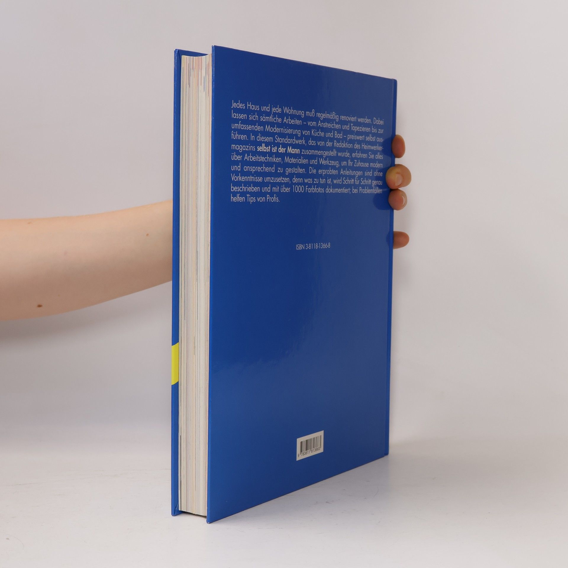 Hans Altmeyer Das grosse Buch vom Renovieren