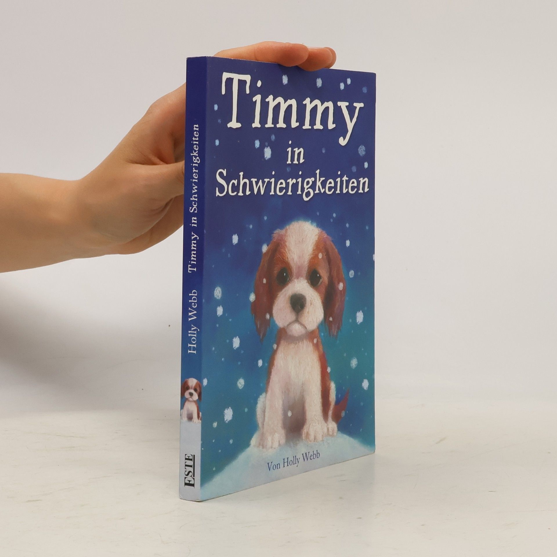 Holly Webb Timmy in Schwierigkeiten