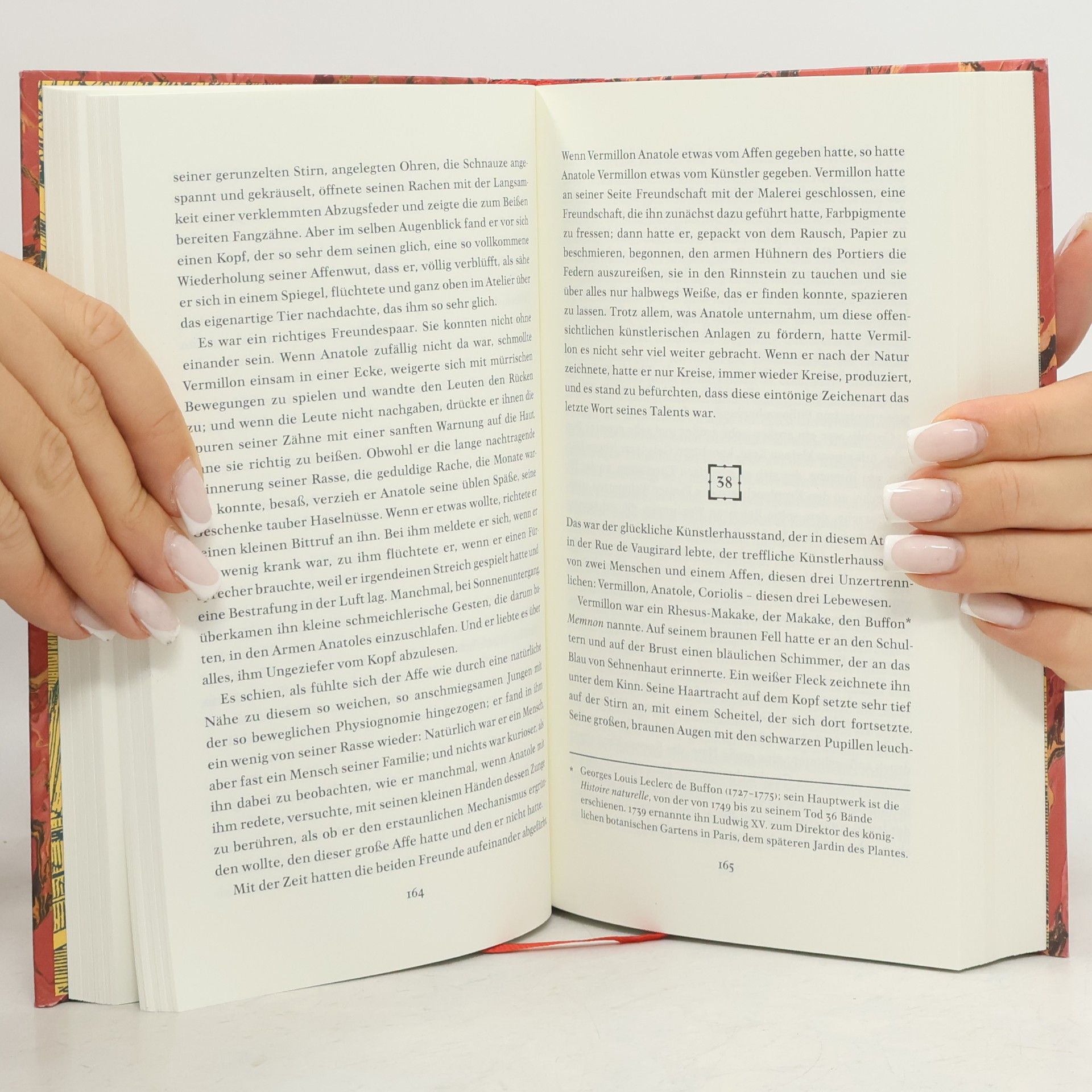 Edmond de Goncourt Die Andere Bibliothek - 394: Manette Salomon