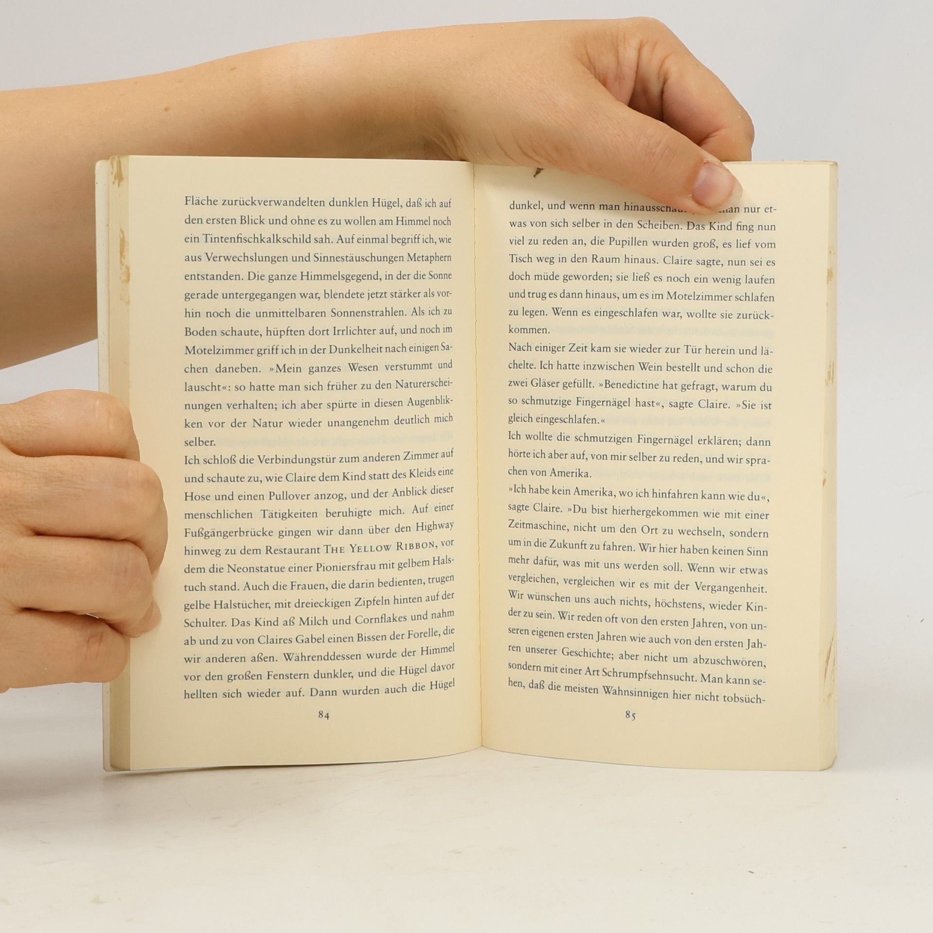 Peter Handke Der kurze Brief zum langen Abschied