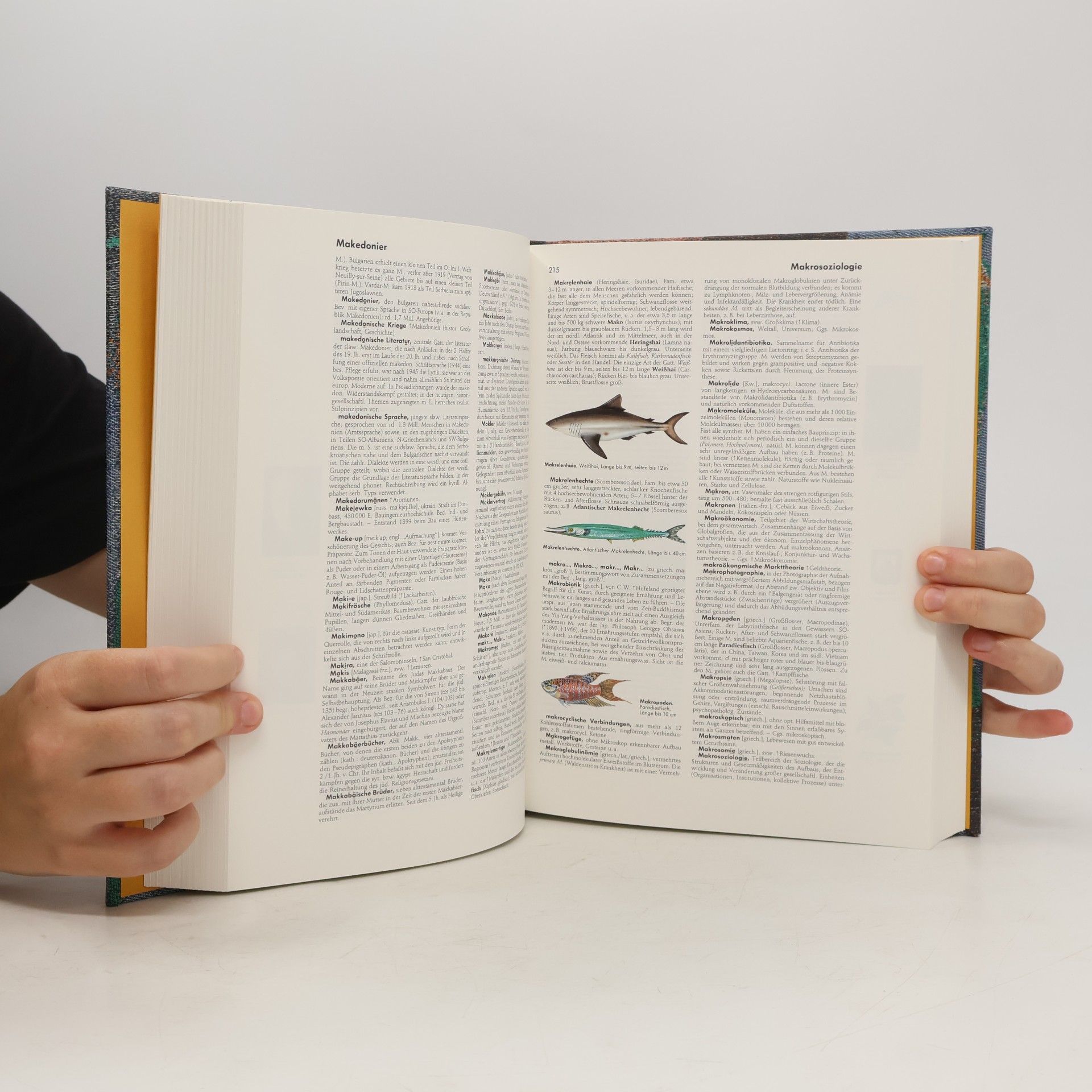 Various authors Meyers neues Lexikon 6. Las–Mz