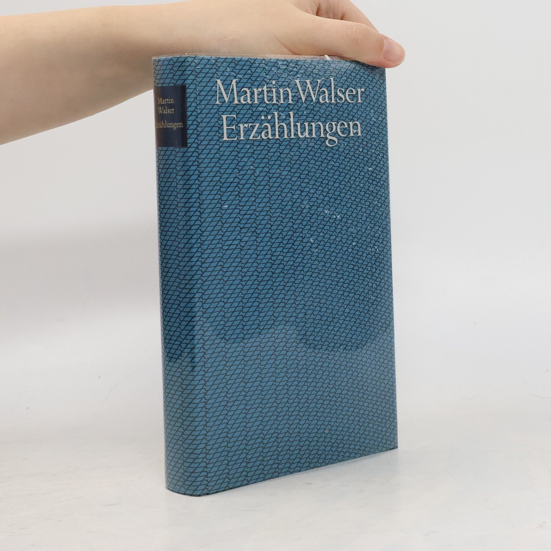Martin Walser Erzählungen