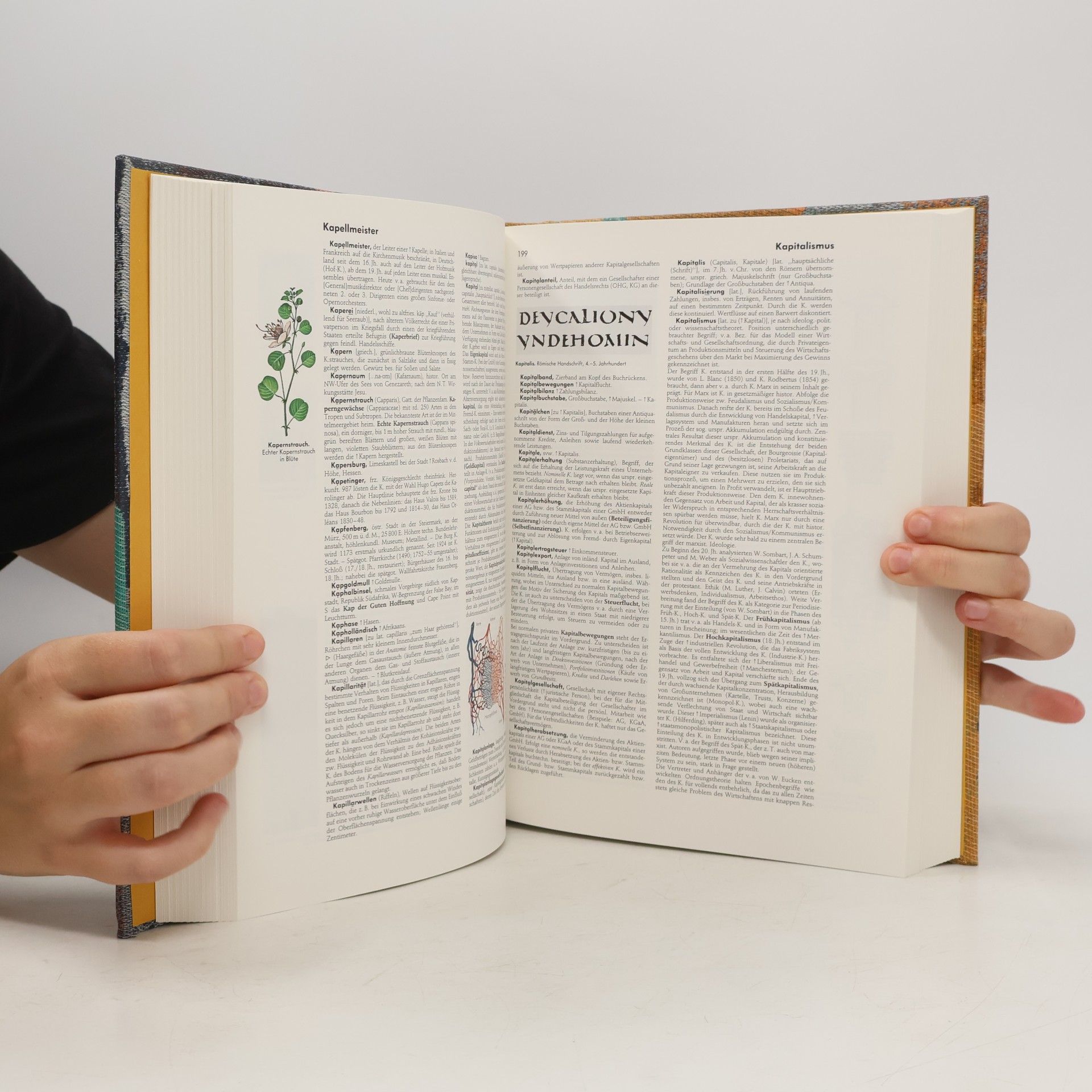 Autorenkollektiv Meyers neues Lexikon 5