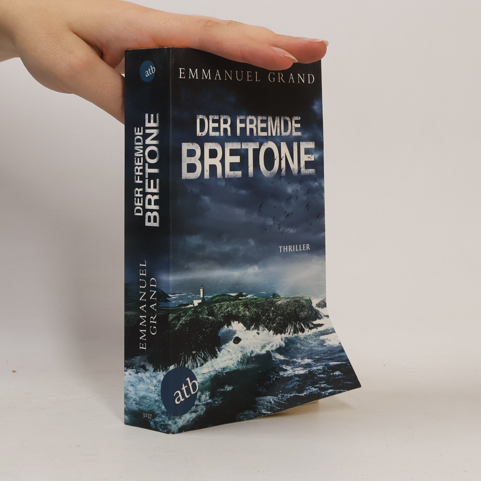 Emmanuel Grand Der fremde Bretone