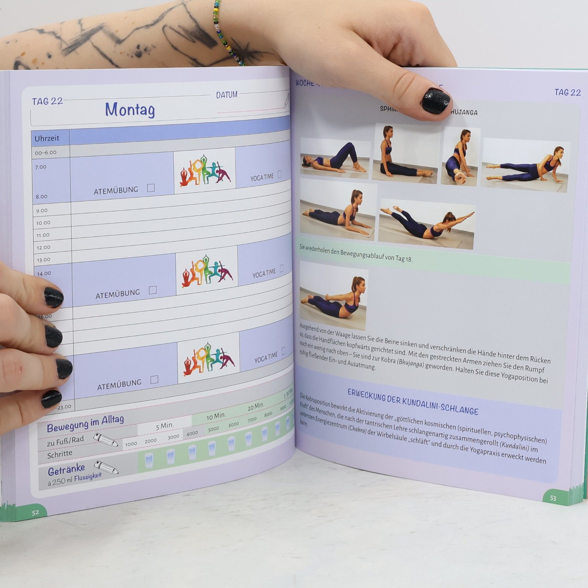 Kolektív autorov Mein 8-Wochen Programm. Yoga