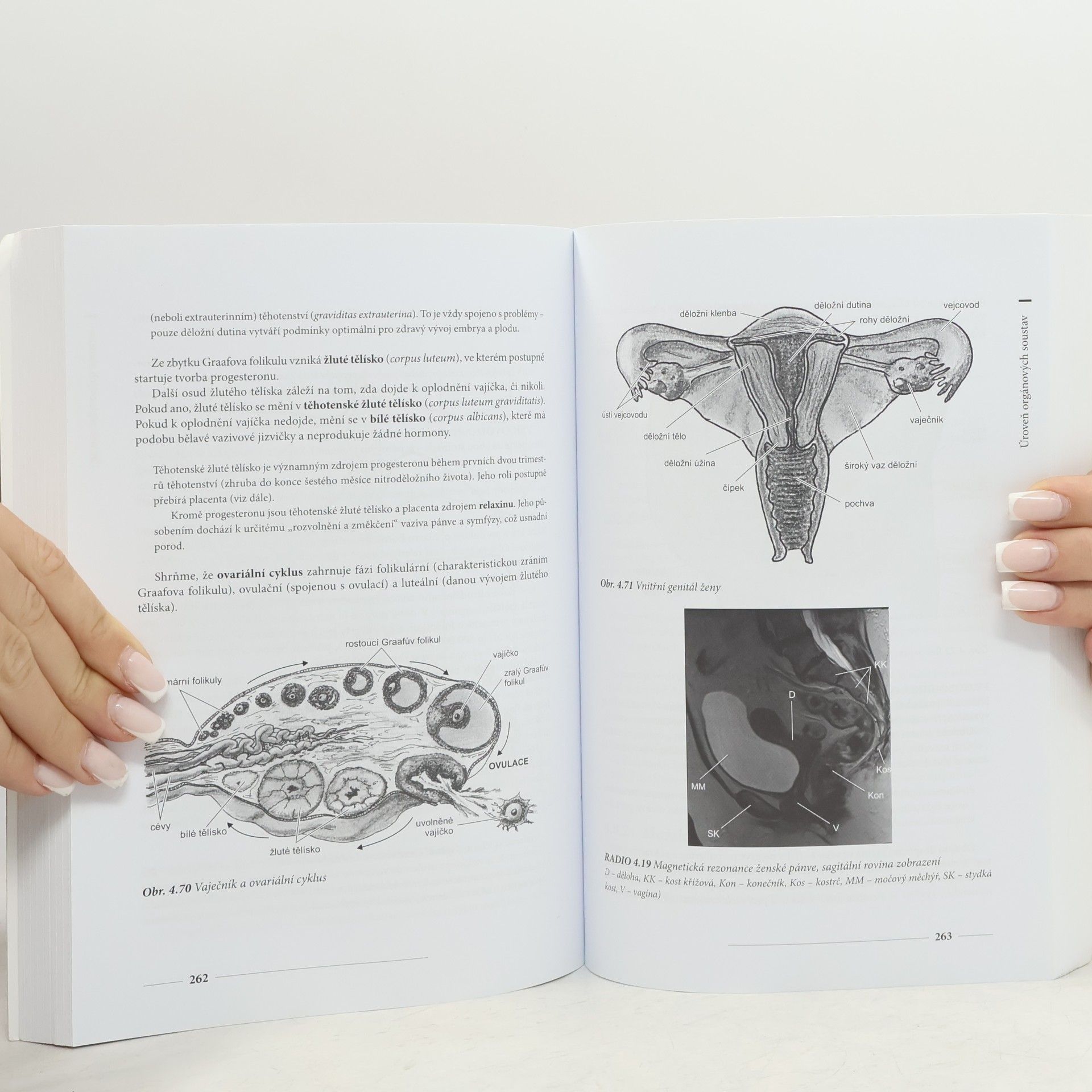 Miroslav Orel Anatomie a fyziologie lidského těla. Pro humanitní obory