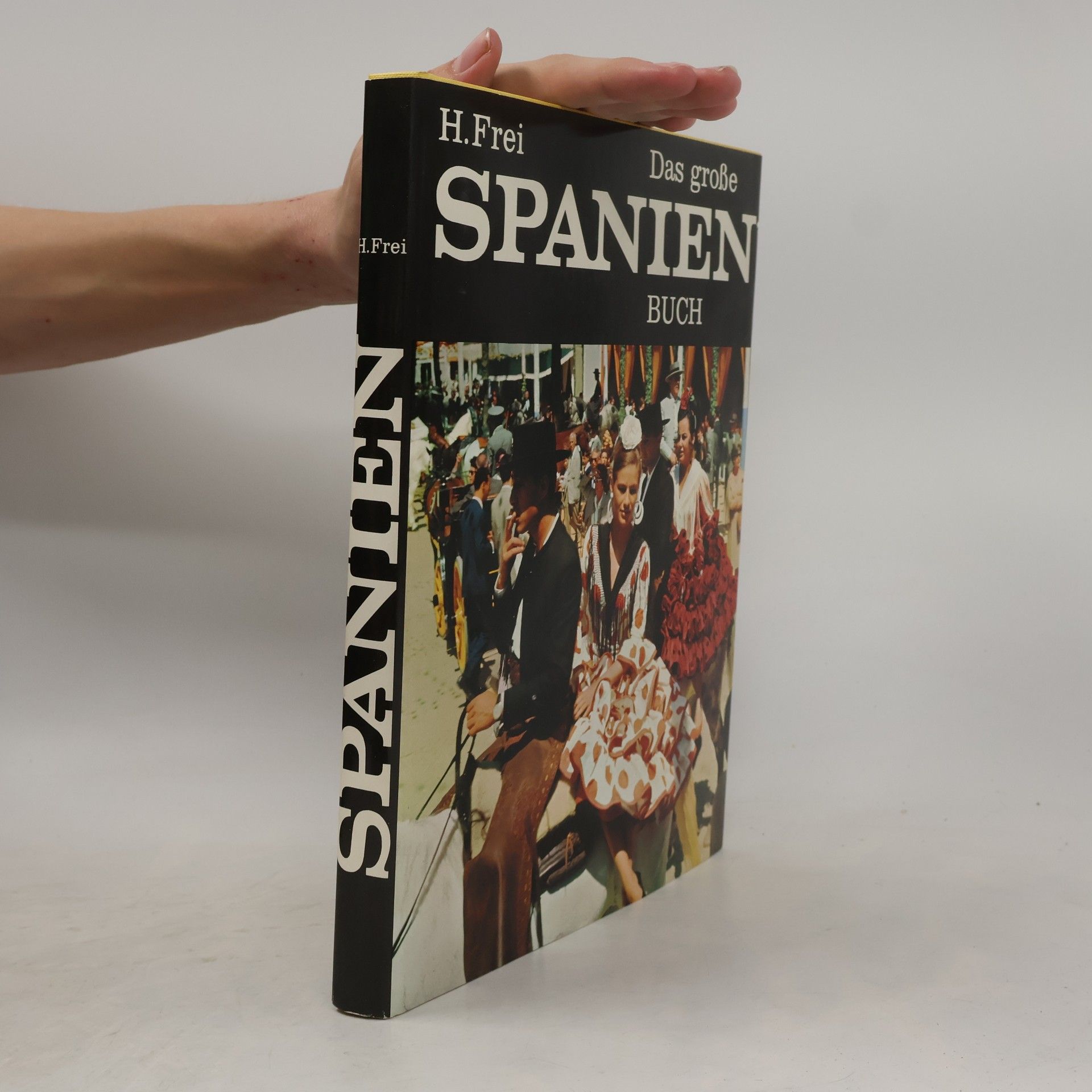 H. Frei Das Grosse Spanien Buch