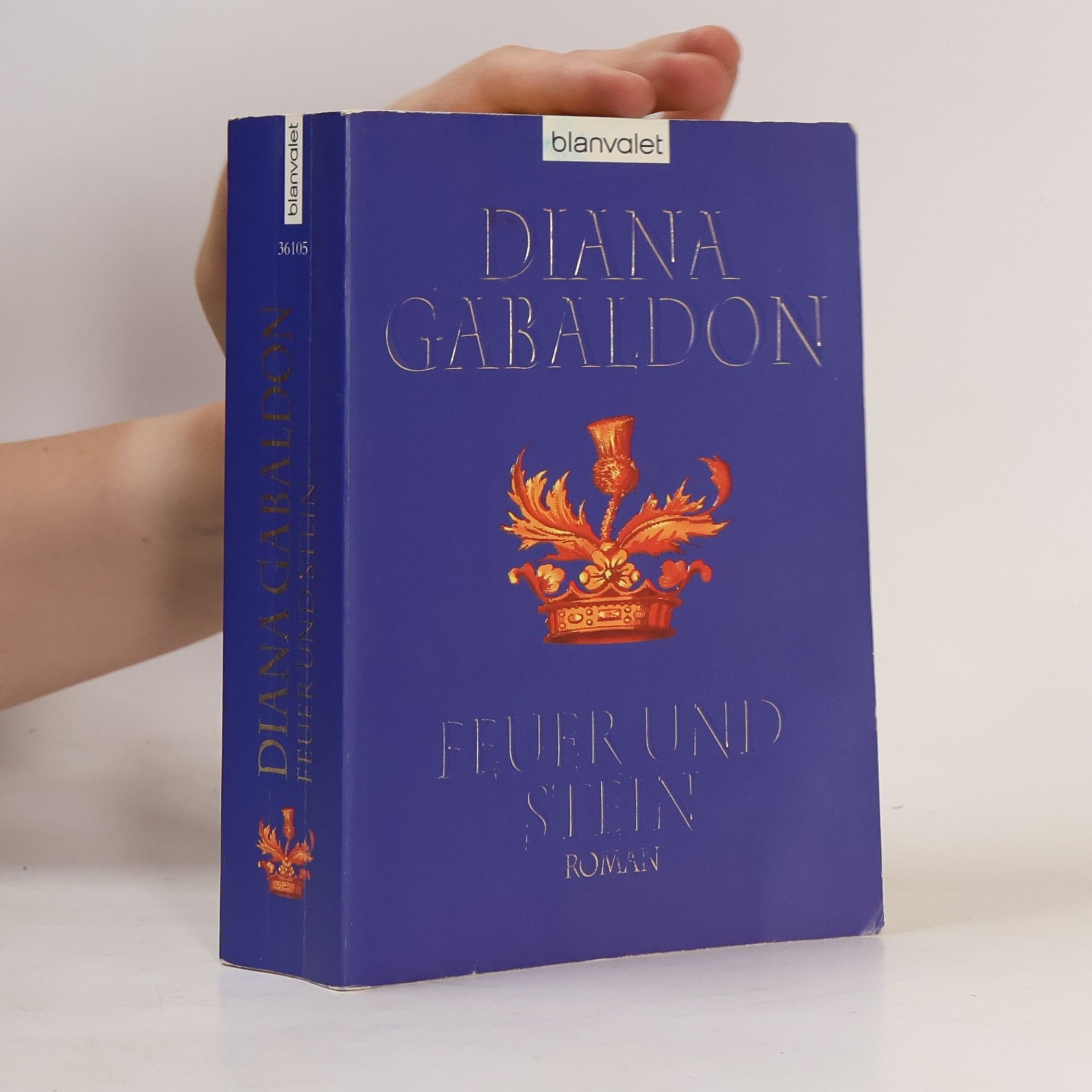Diana Gabaldon Feuer und Stein