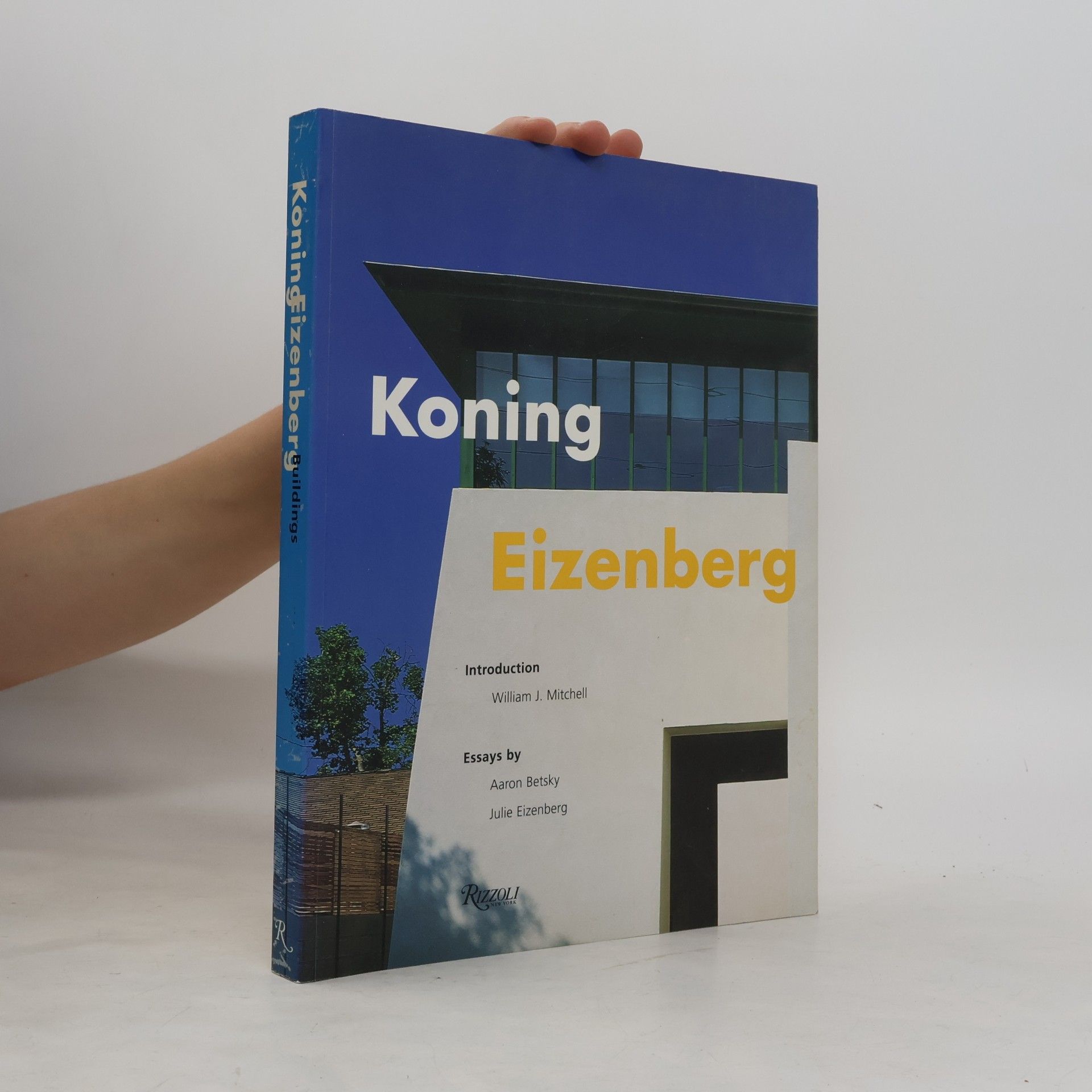Julie Eizenberg Koning Eizenberg