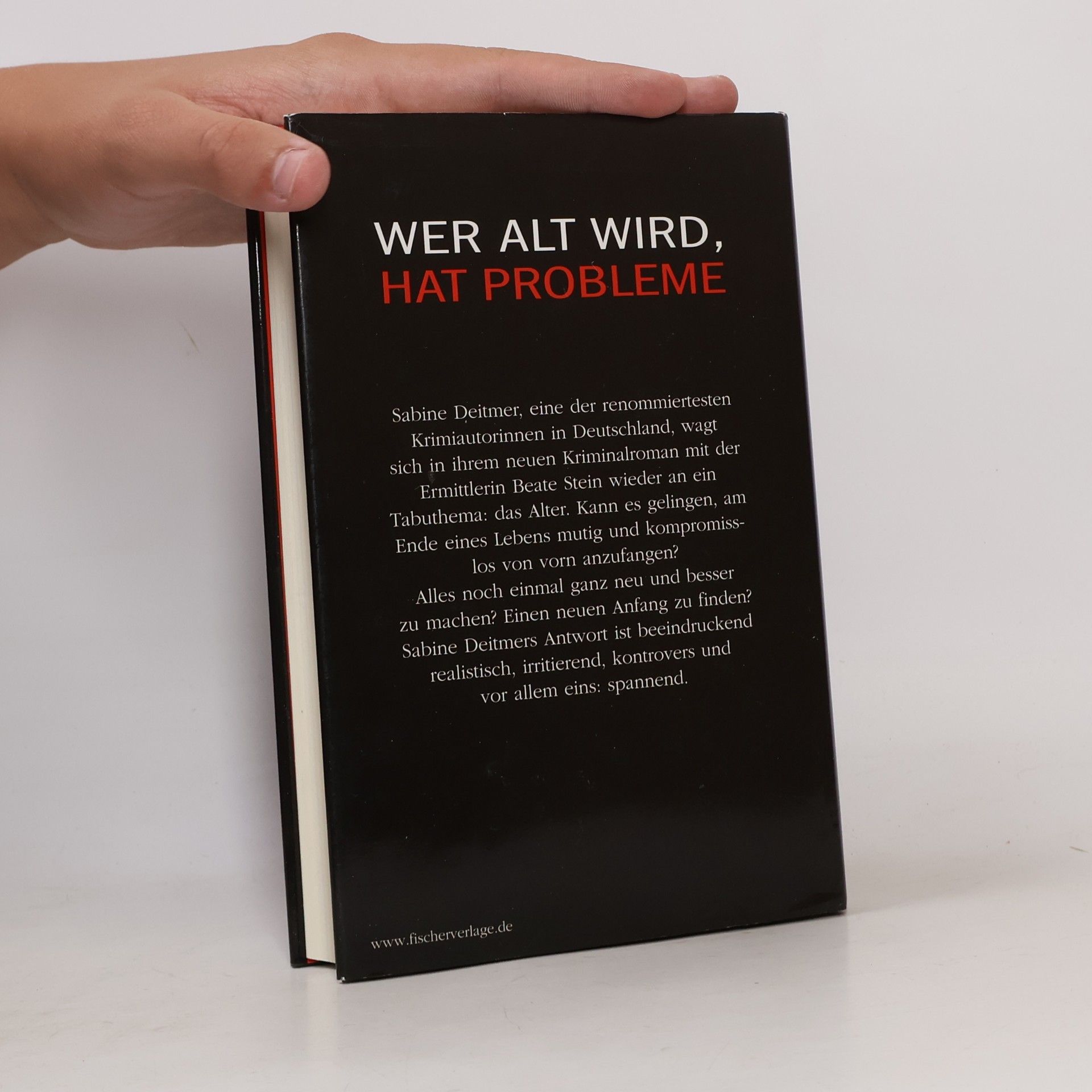 Sabine Deitmer Perfekte Pläne
