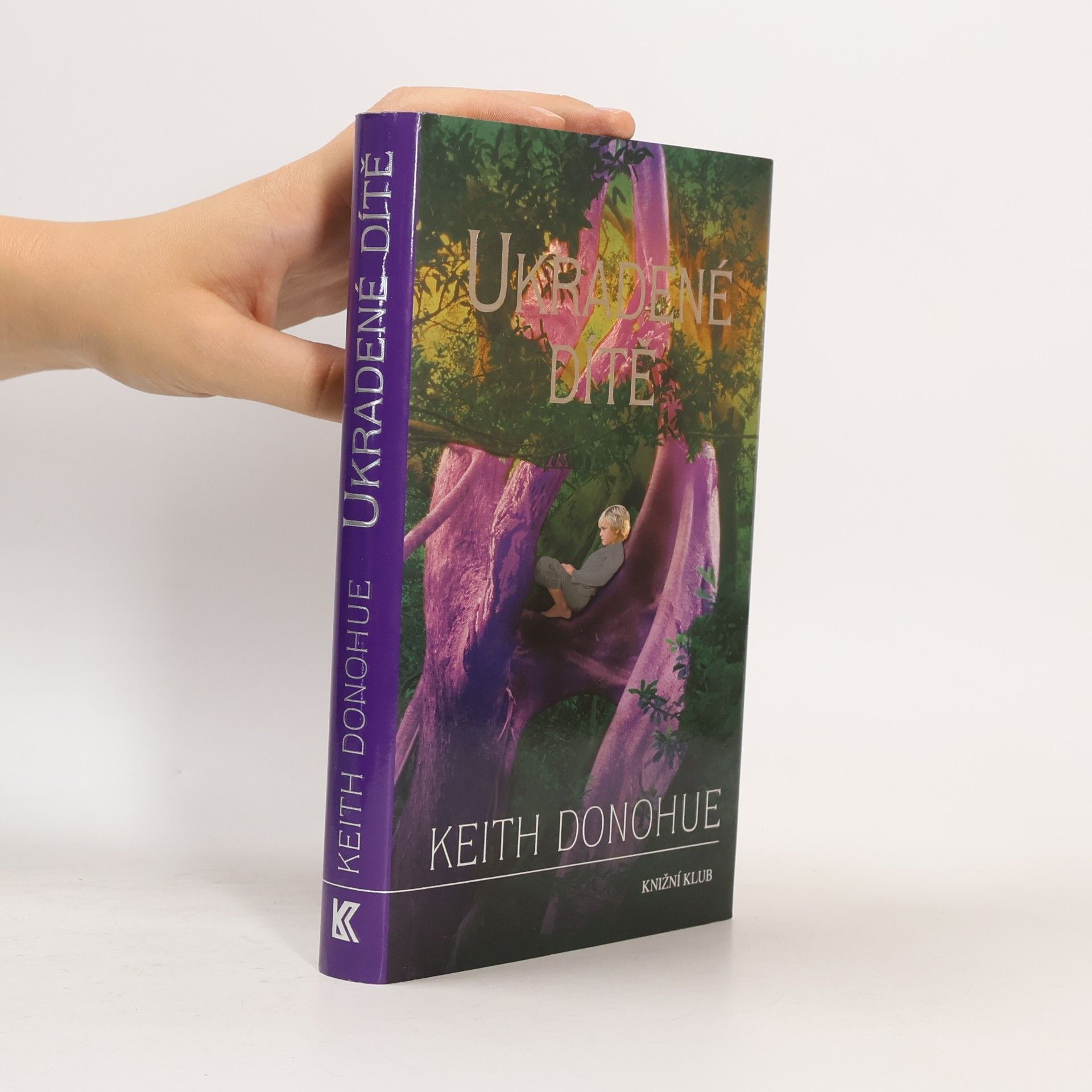 Keith Donohue Ukradené dítě