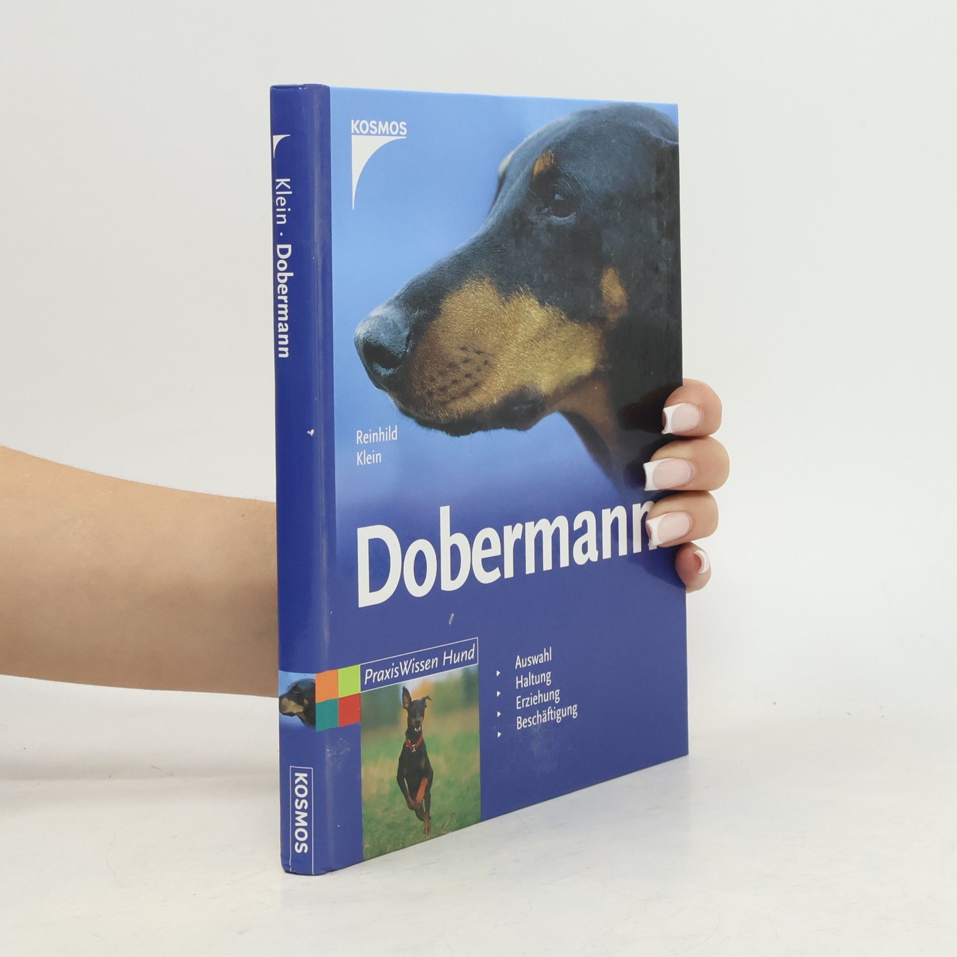 Reinhild Klein-Hessling Dobermann