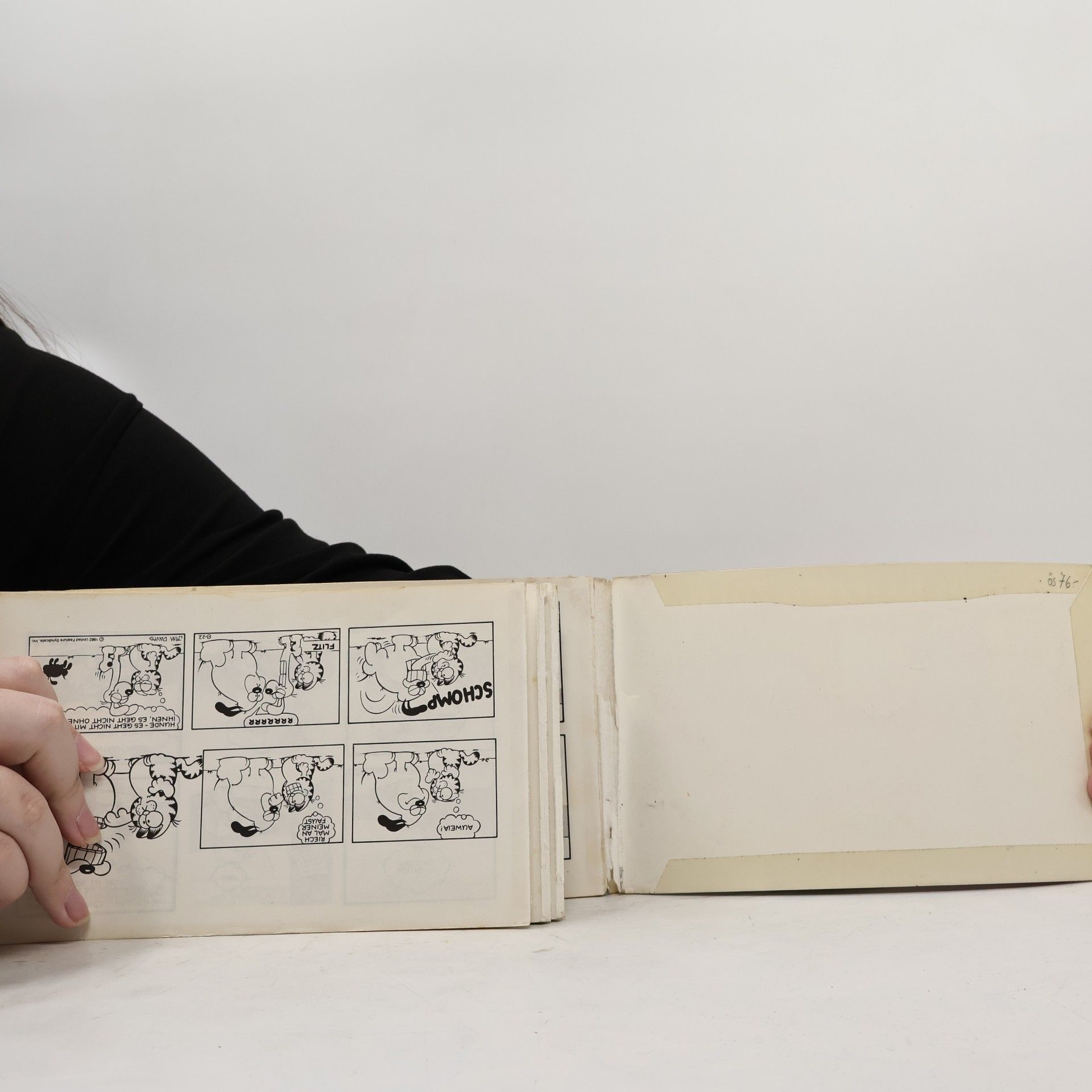 Jim Davis Garfield hat's voll drauf. Sein achtes Buch