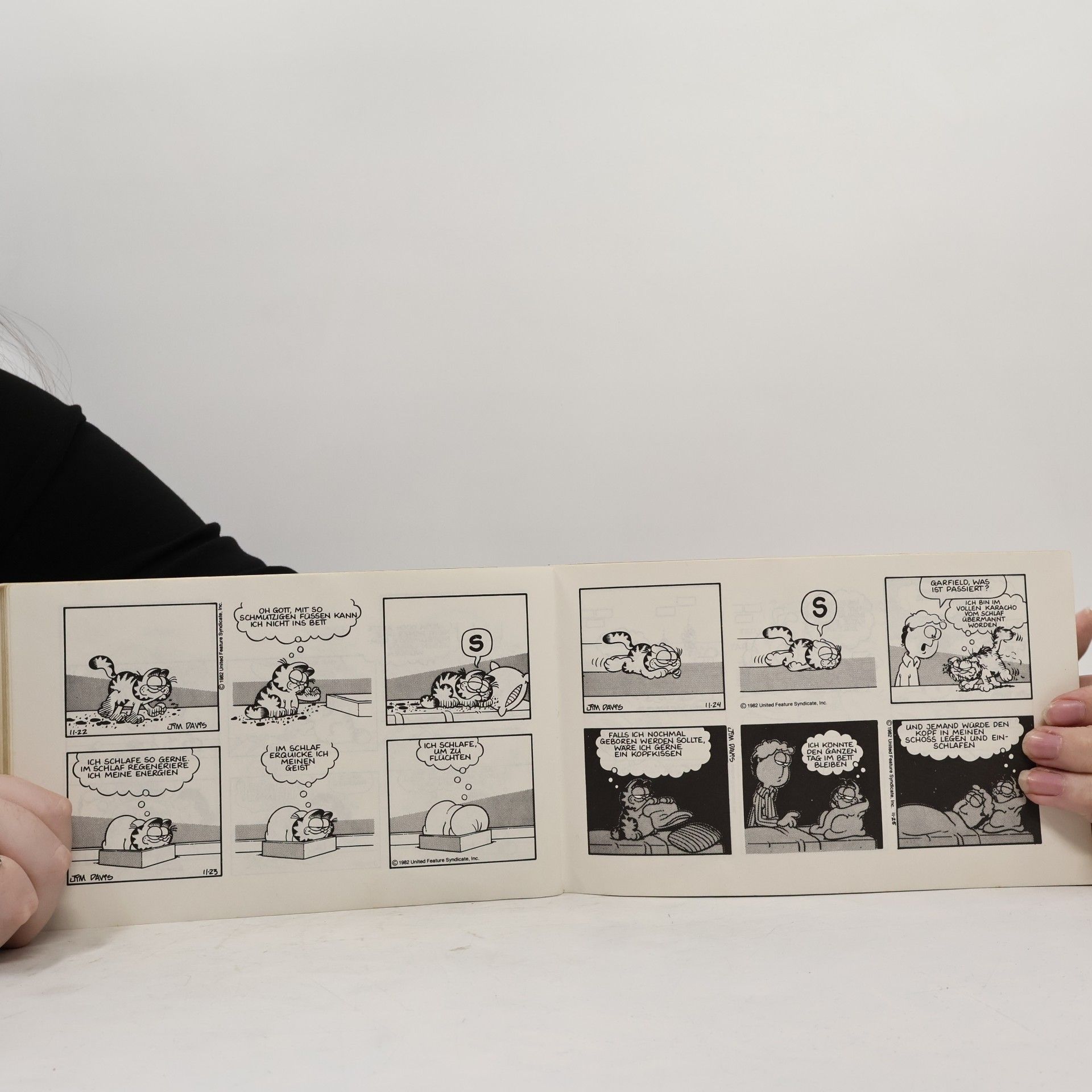 Jim Davis Garfield hat's voll drauf. Sein achtes Buch