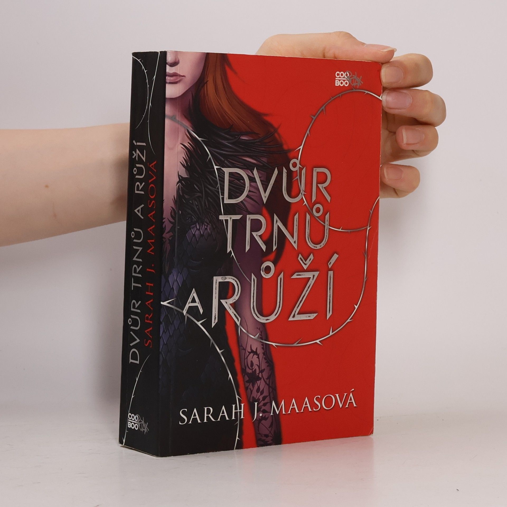 Sarah J. Maasová Dvůr trnů a růží